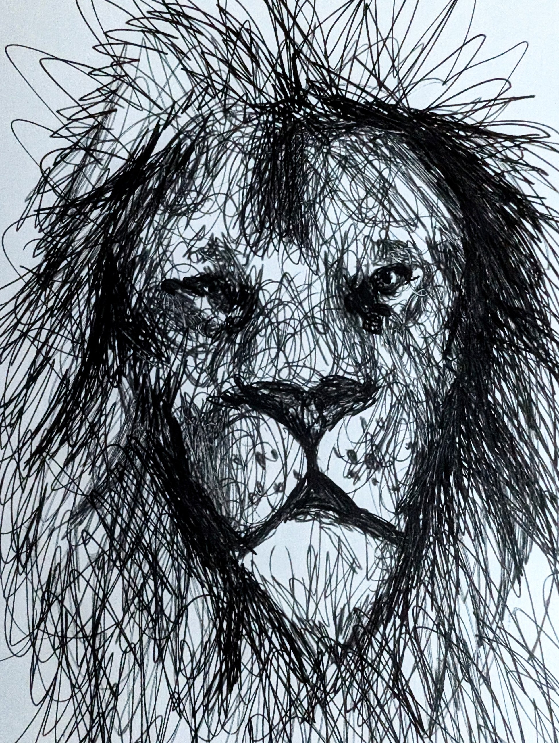 Lion With Fluffy Messy Flowing Hair And Fur Pen Illustration Drawing Sketch Art Portrait Animal Portrait Art Unframed Size 17.8 cm x 25.4 cm - Unorthodox Zoo