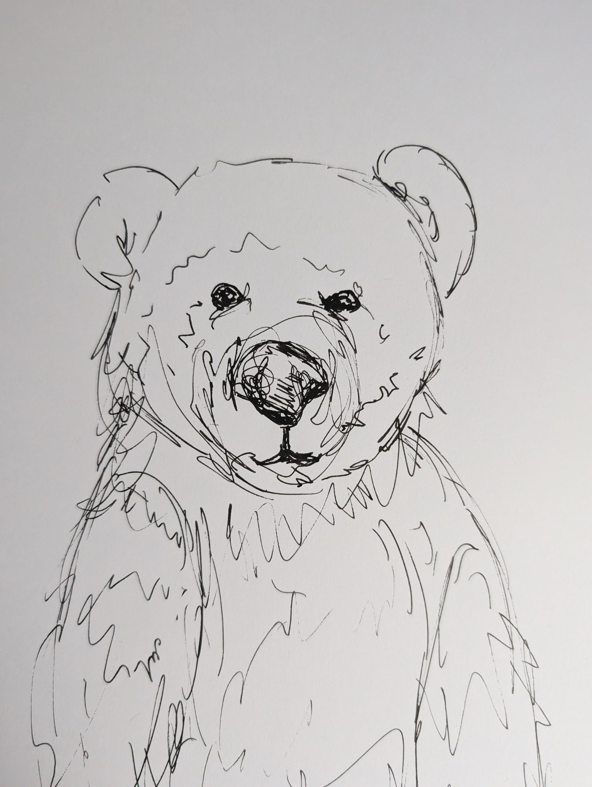 Friendly Bear Standing Illustration Drawing Sketch Art Portrait Unframed A4 Size - Unorthodox Zoo