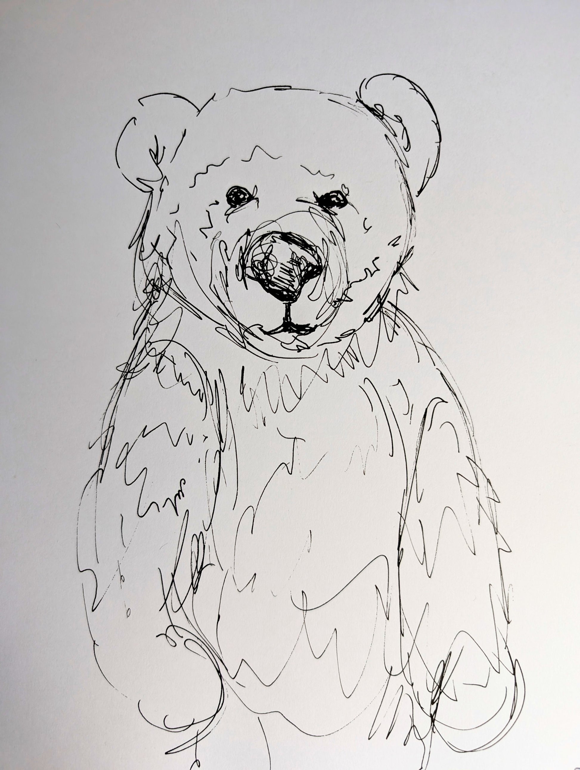 Friendly Bear Standing Illustration Drawing Sketch Art Portrait Unframed A4 Size - Unorthodox Zoo