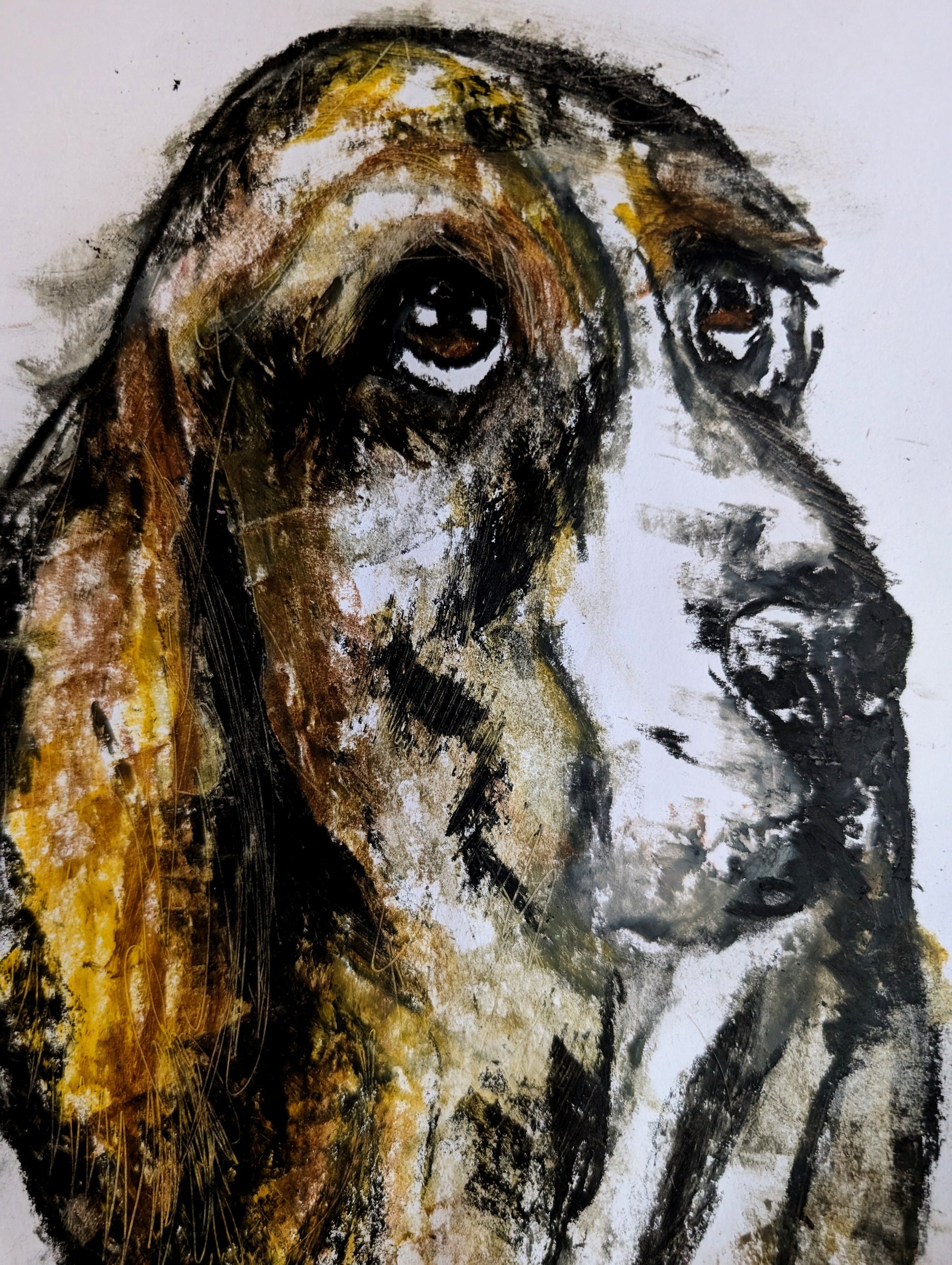 Bassett Hound Dog Hound Illustration Drawing Sketch Art Unframed A4 Size Art Oil Pastel Drawing - Unorthodox Zoo