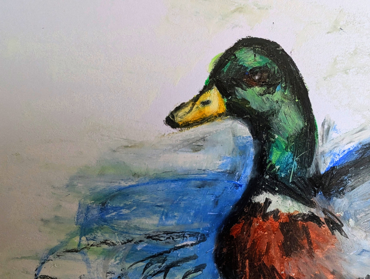 Green Brown White Duck With Yellow Beak Bill With Blue Water Oil Pastel Drawing Illustration Sketch Art Unframed A4 Size - Unorthodox Zoo