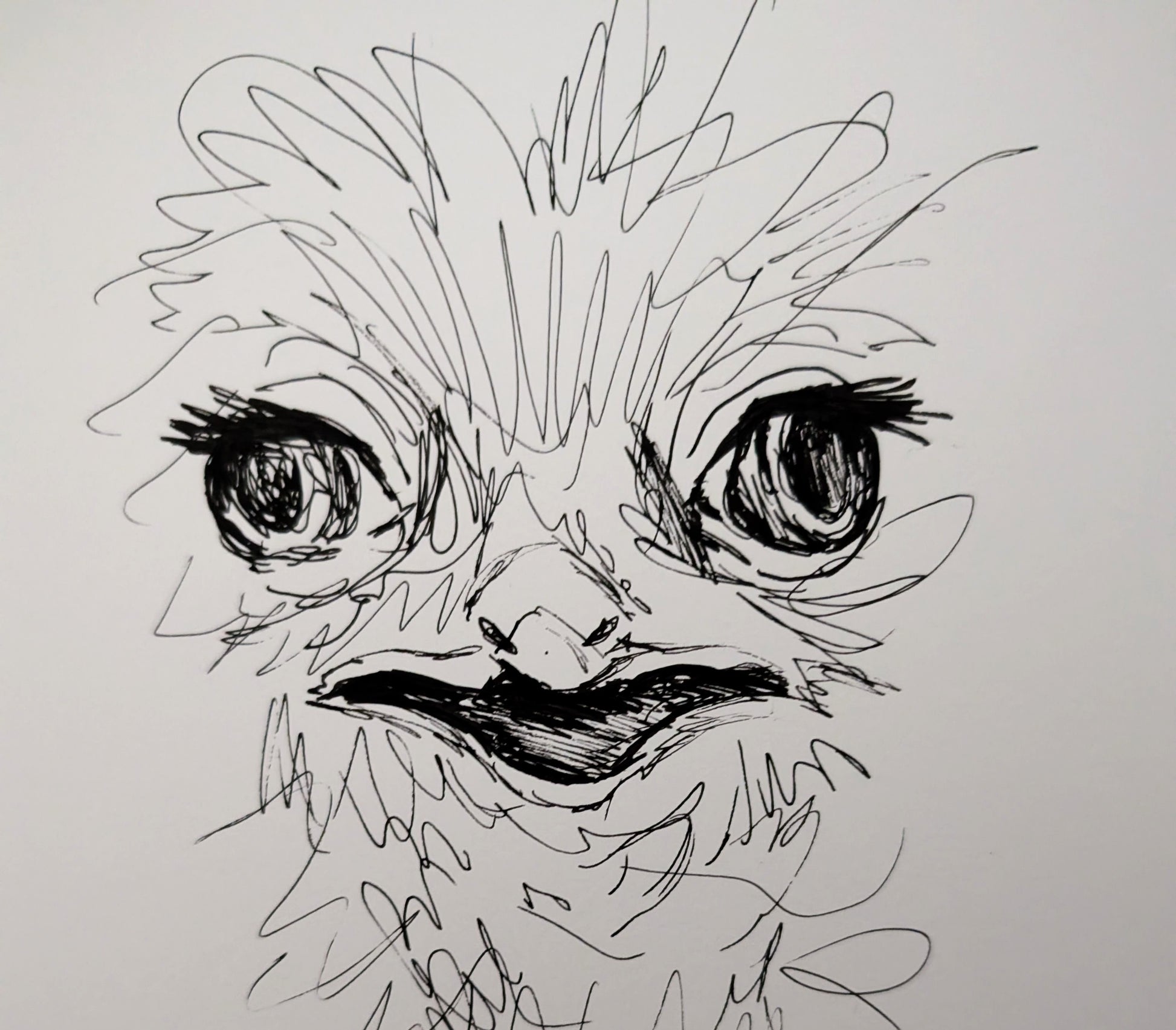 Ostrich Bird Pulling Funny Face Expressive Drawing Pen Illustration Drawing Sketch Art Portrait Unframed A4 Size - Unorthodox Zoo