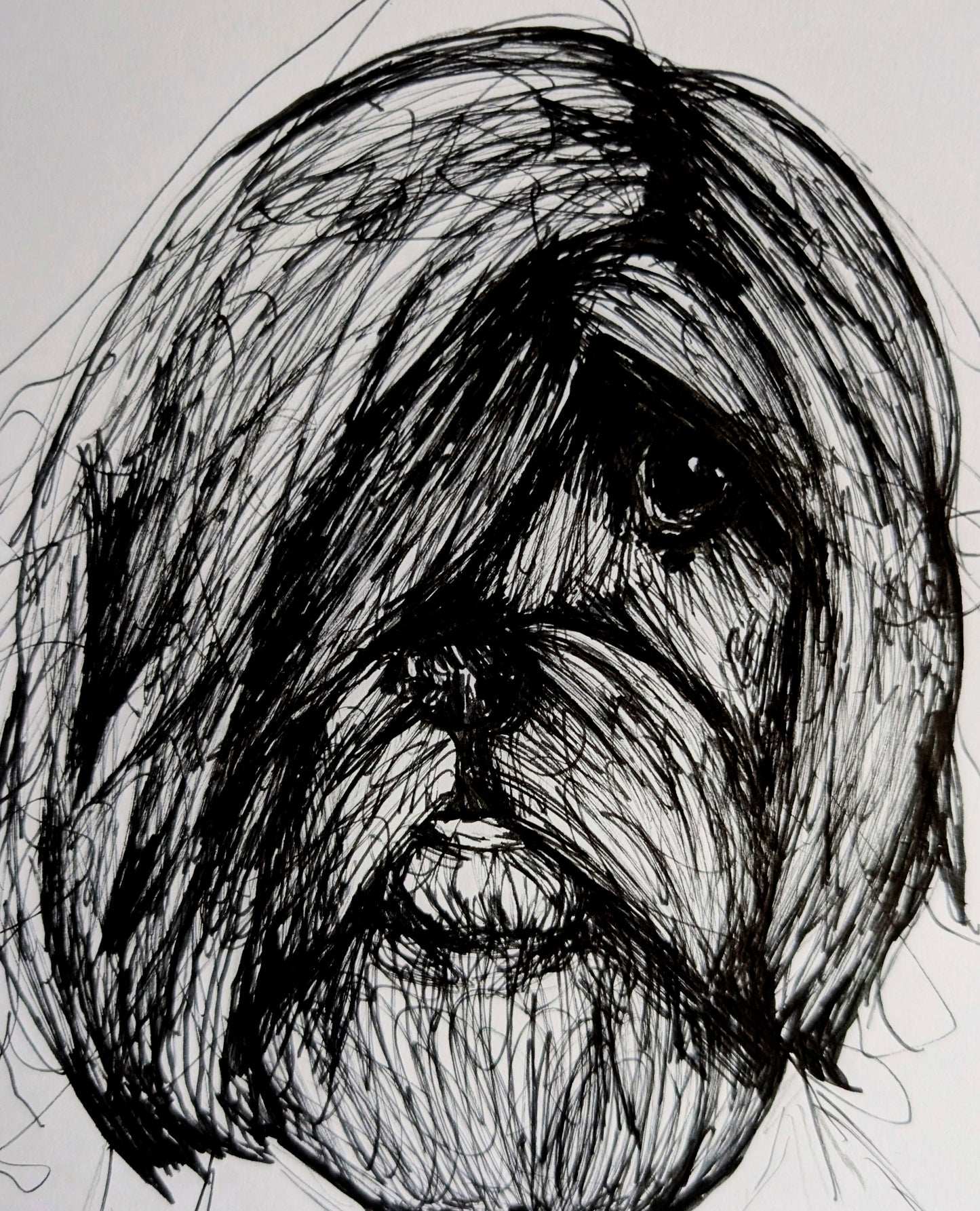 Sad Dog With Long Fringe Fur Hair Pen Illustration Drawing Sketch Art Portrait Unframed A4 Size