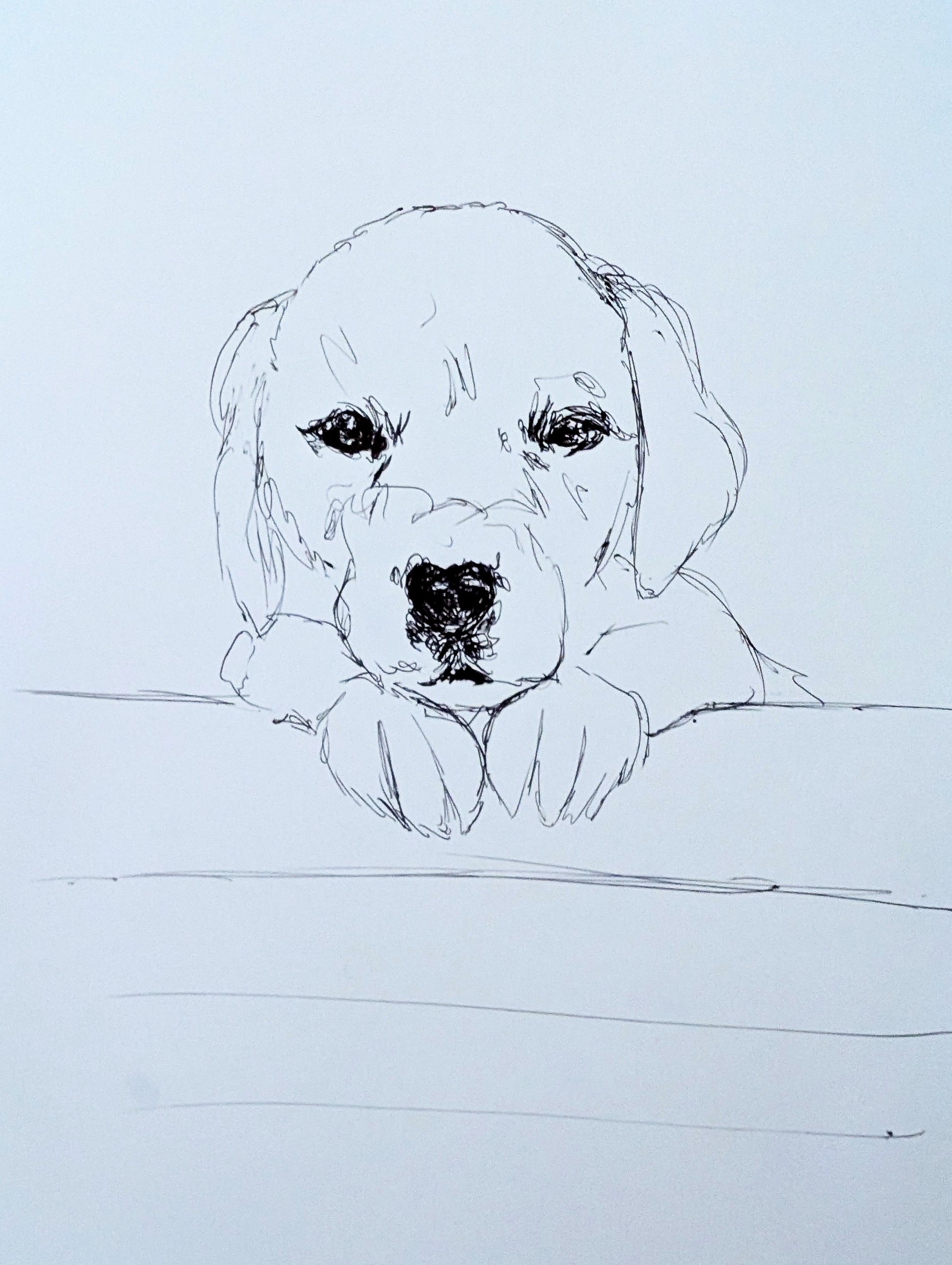 Puppy Dog Drawing Pen Illustration Sketch Art Portrait Unframed A4 Size - Unorthodox Zoo