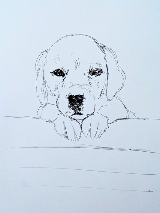 Puppy Dog Drawing Pen Illustration Sketch Art Portrait Unframed A4 Size - Unorthodox Zoo