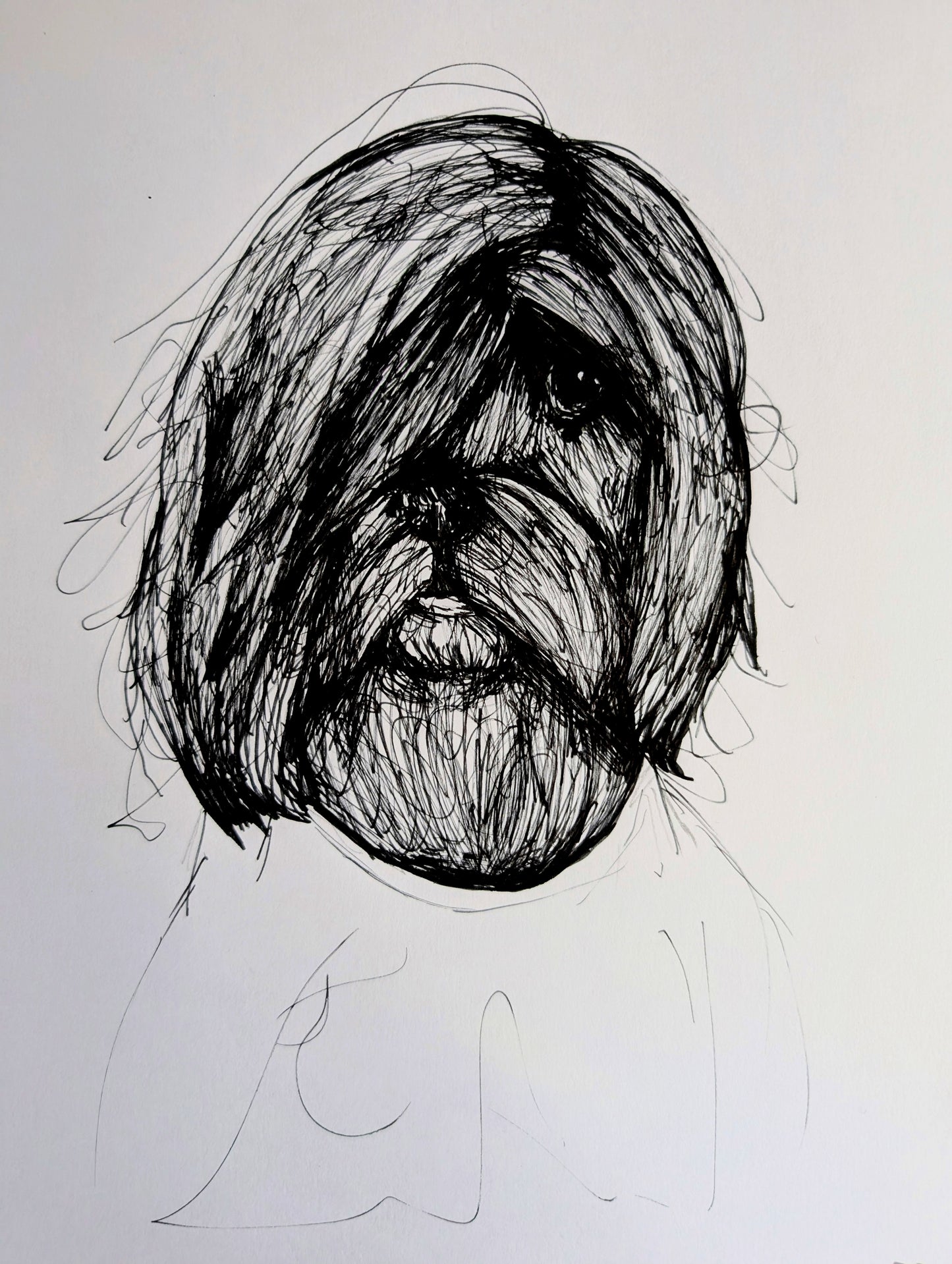 Sad Dog With Long Fringe Fur Hair Pen Illustration Drawing Sketch Art Portrait Unframed A4 Size