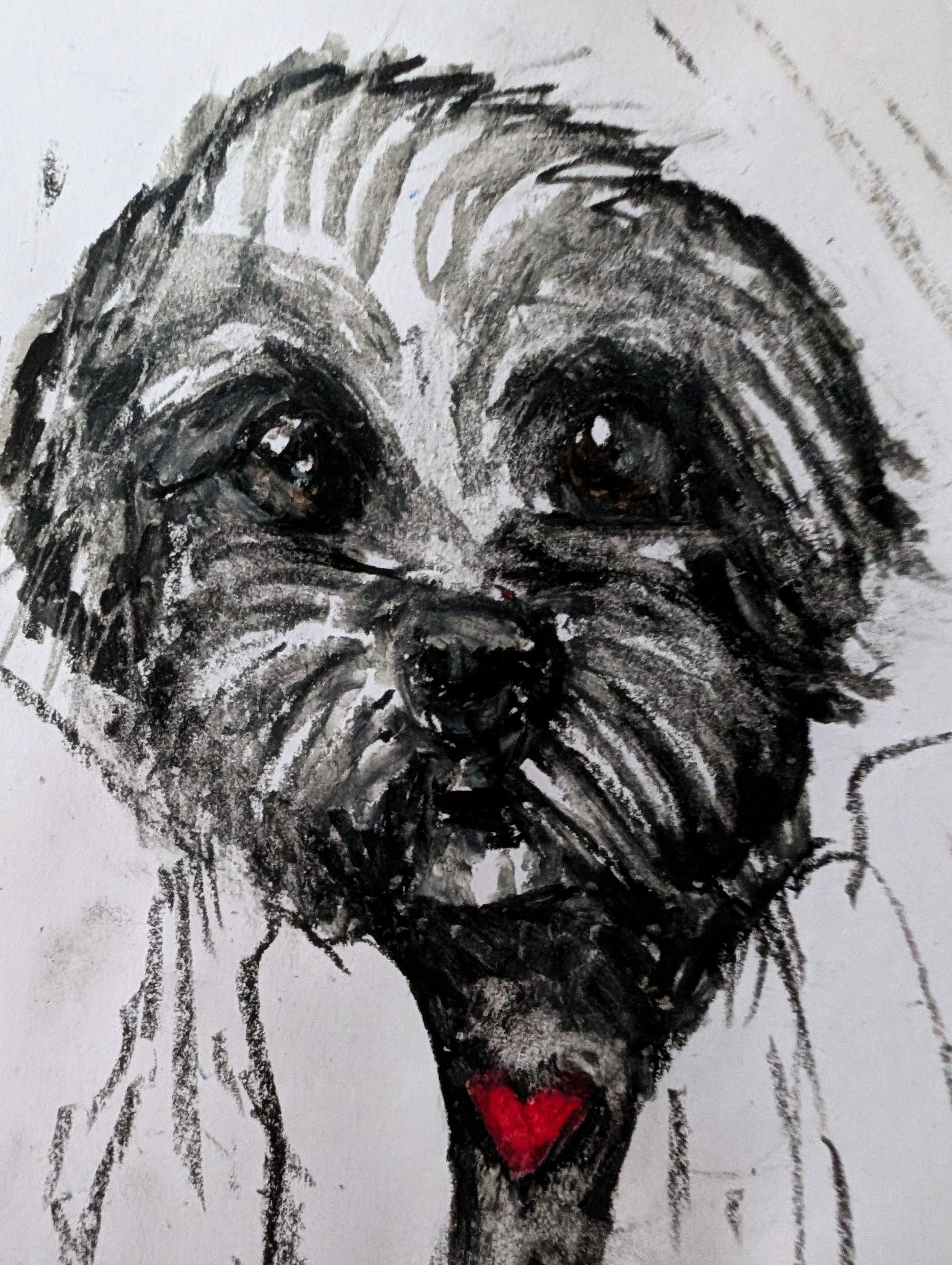 Fluffy Little Dog With Red Heart White Background Oil Pastel Illustration Drawing Sketch Art Unframed A4 Size - Unorthodox Zoo