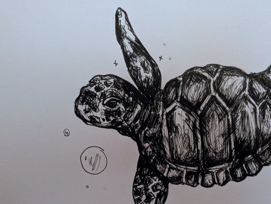 Turtle Swimming With Bubbles Pen Drawing Illustration Sketch Art A4 Size Unframed - Unorthodox Zoo
