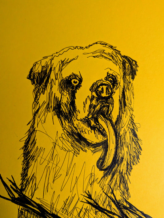 Bear On Yellow Paper Pen Illustration Drawing Sketch Art Animal Portraiture Portrait A4 Size Unframed - Unorthodox Zoo