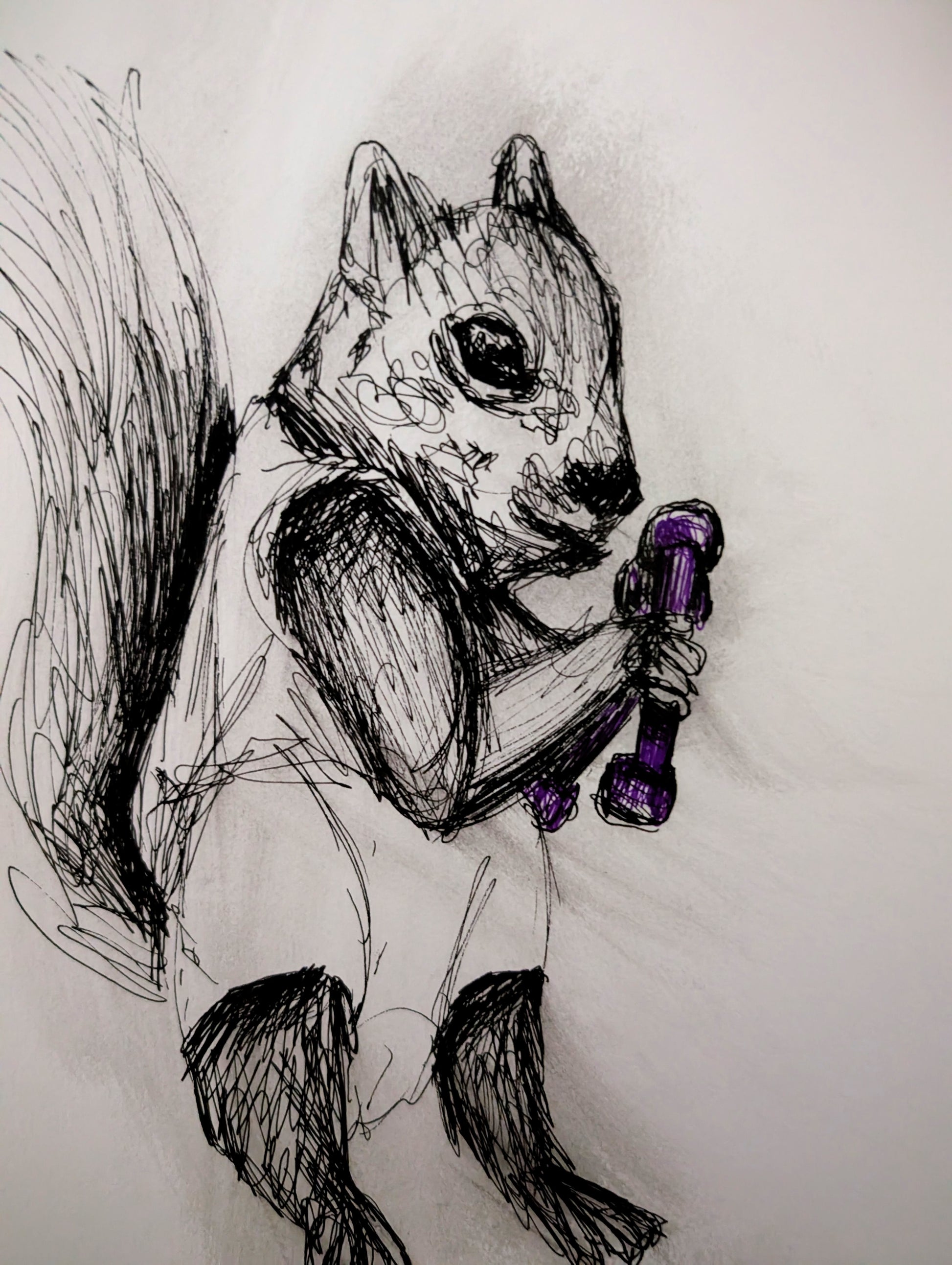 Squirrel With Dumbbell At Gym Pen Illustration Drawing Sketch Art Unframed A4 Size Animal Art Portrait - Unorthodox Zoo