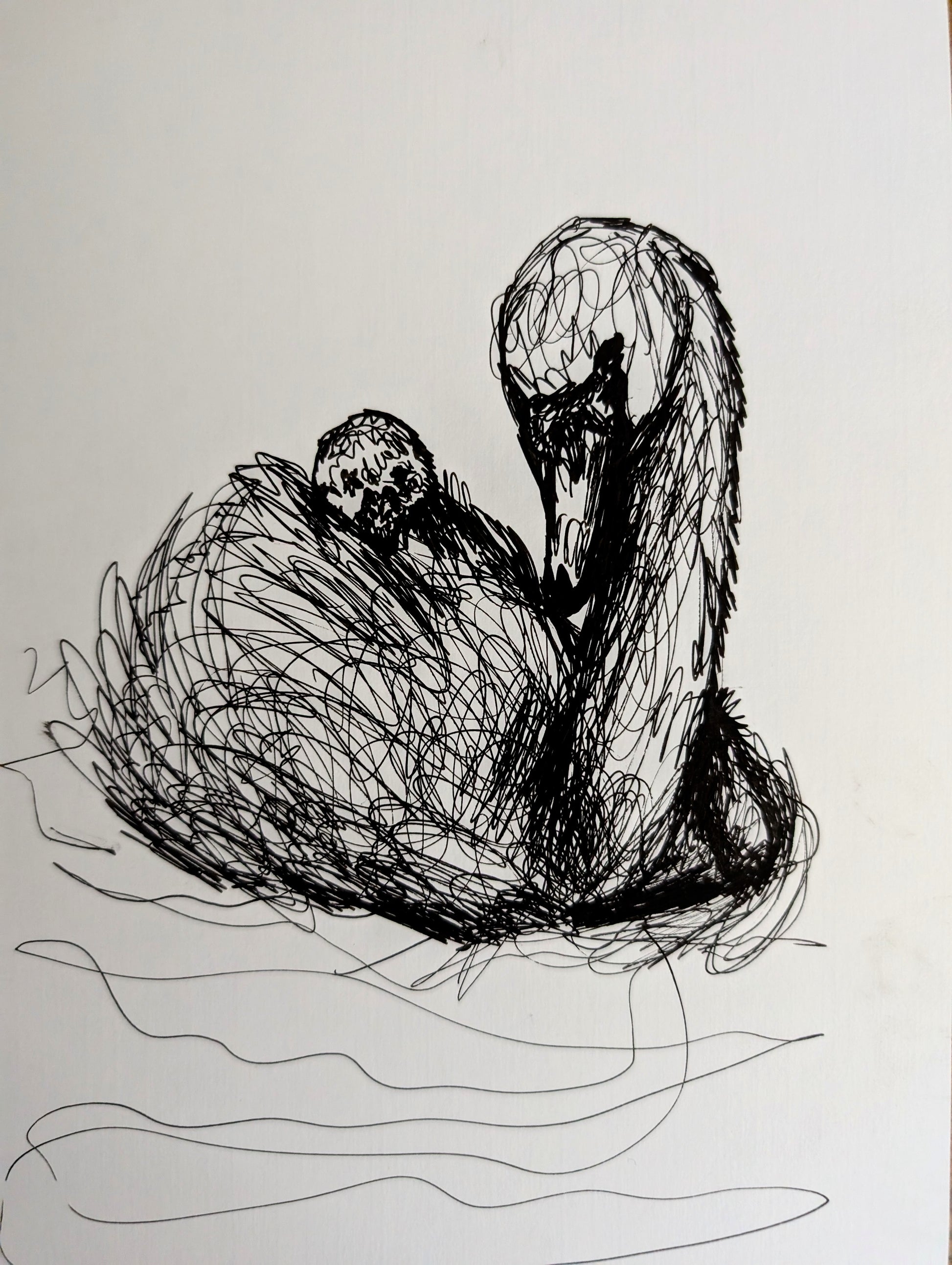 Swan With Duckling Pen Illustration Drawing Sketch Art Portrait Animal Portrait Art Unframed Size 17.8 cm x 25.4 cm - Unorthodox Zoo