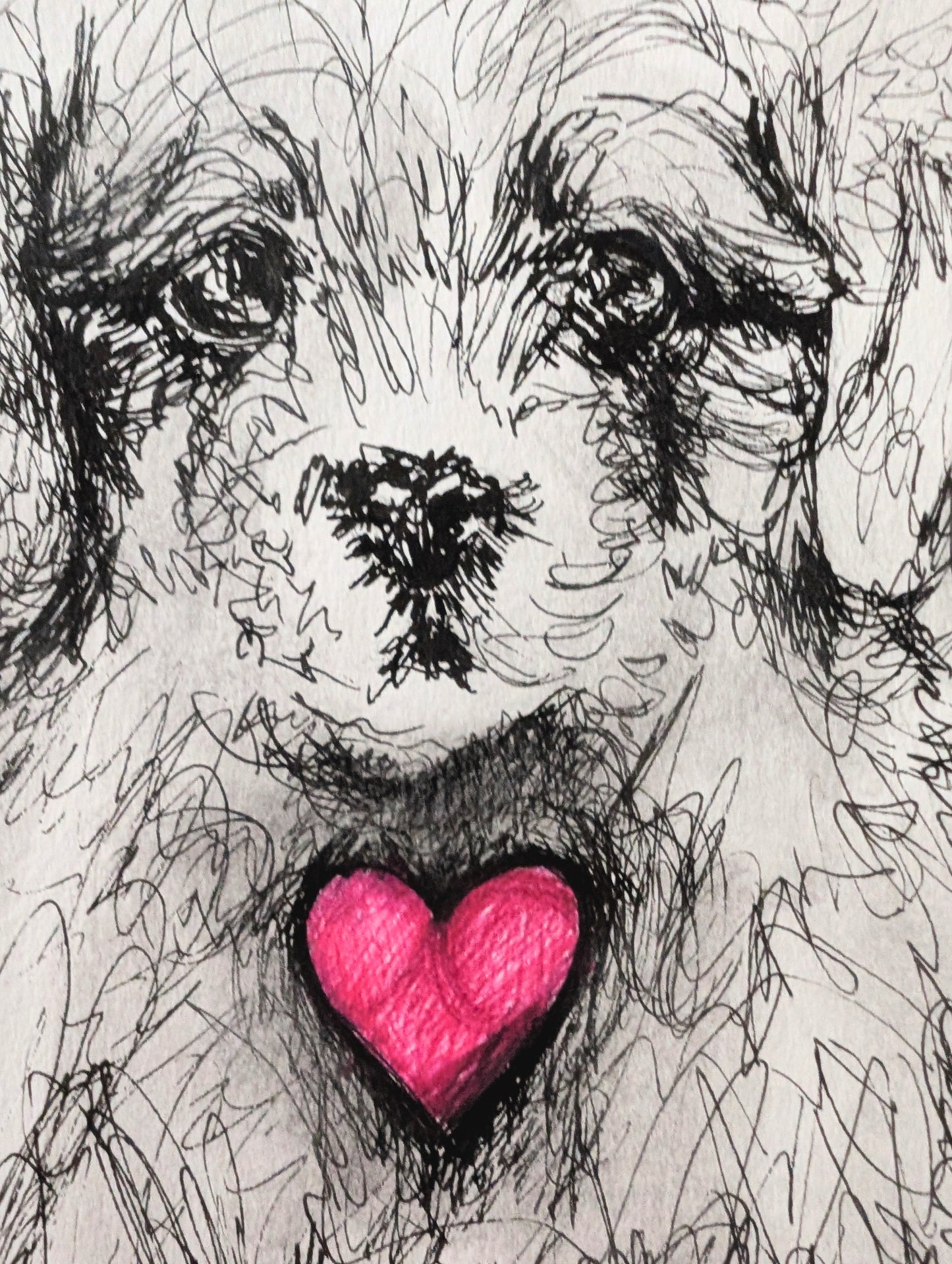 Fluffy Little Puppy Dog With Pink Heart With White Background Pen Illustration Drawing Sketch Art Unframed A4 Size - Unorthodox Zoo
