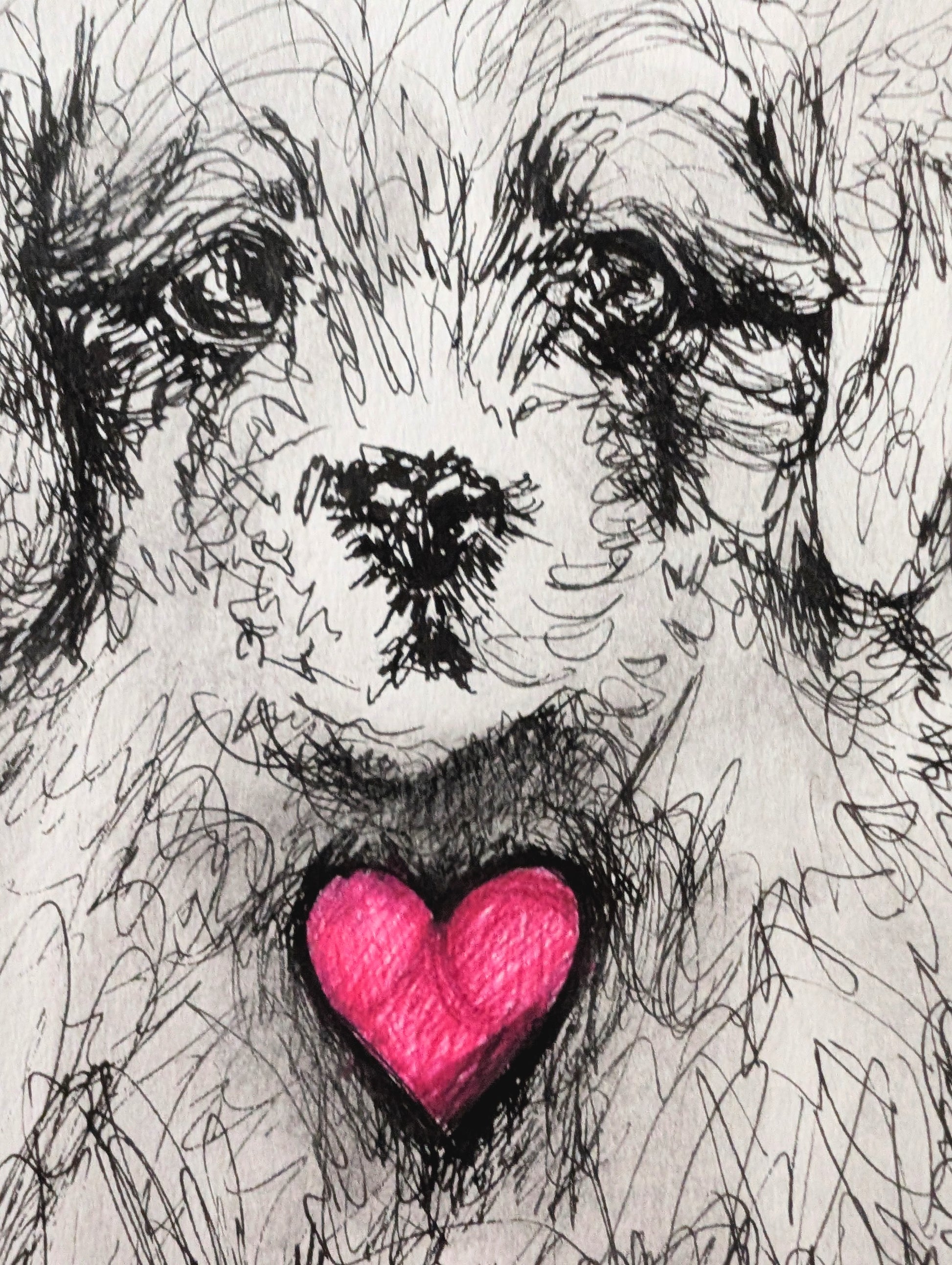 Fluffy Little Puppy Dog With Pink Heart With White Background Pen Illustration Drawing Sketch Art Unframed A4 Size - Unorthodox Zoo
