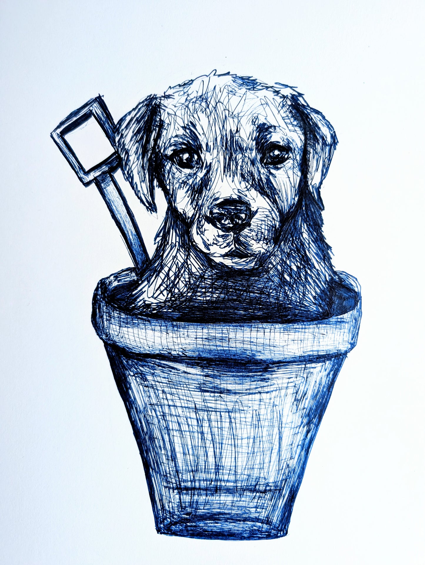 Puppy Dog In Sand Bucket With Spade Pen Illustration Drawing Sketch Art Portrait Unframed A4 Size