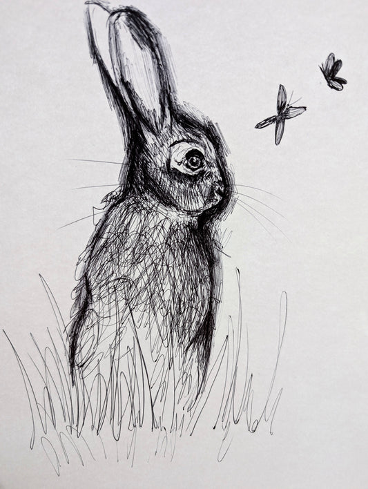Rabbit With Grass Butterflies Pen Illustration Drawing Sketch Art Portrait Unframed A4 Size Artwork Expressive Sketch Drawing - Unorthodox Zoo