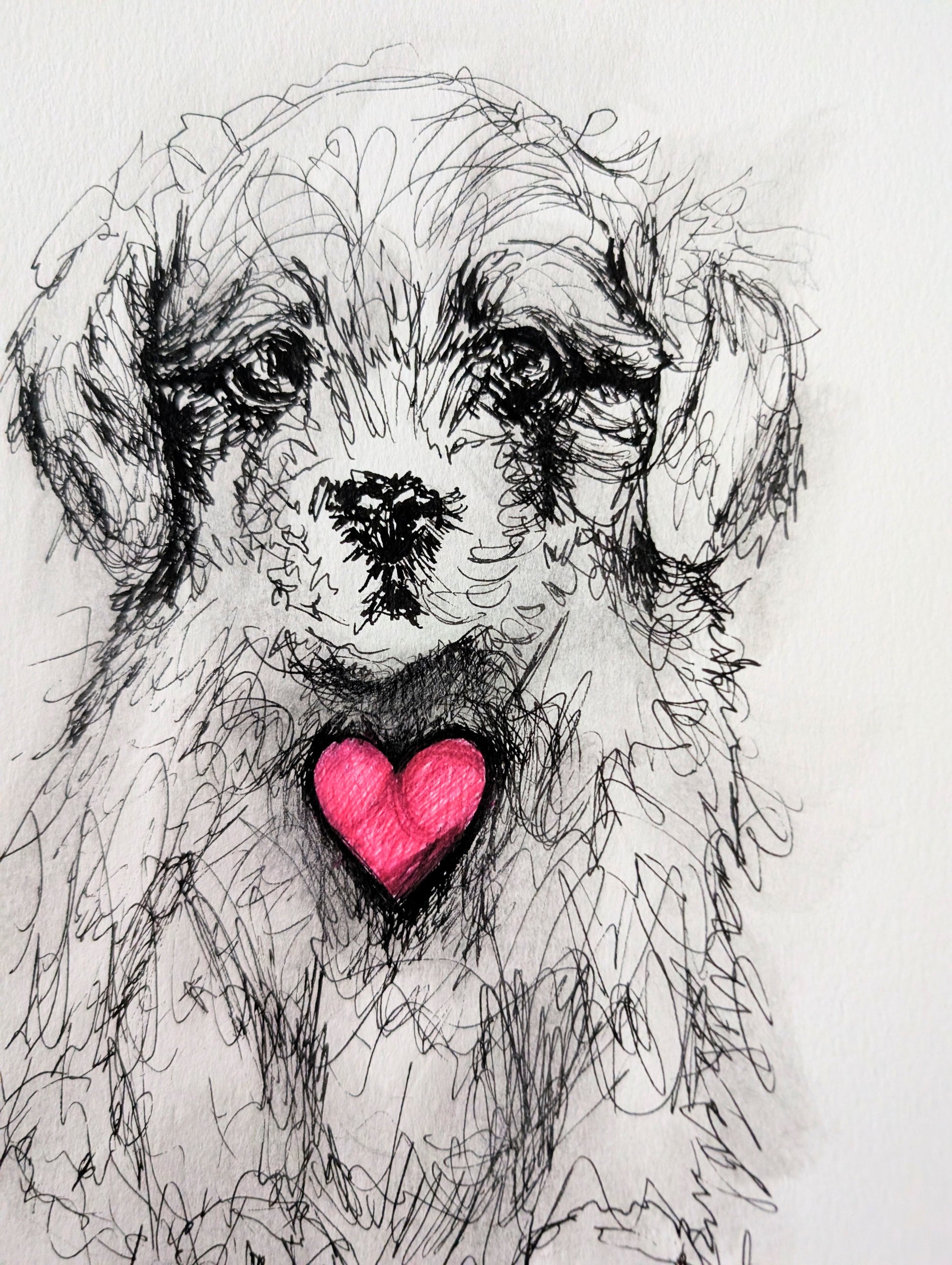 Fluffy Little Puppy Dog With Pink Heart With White Background Pen Illustration Drawing Sketch Art Unframed A4 Size - Unorthodox Zoo