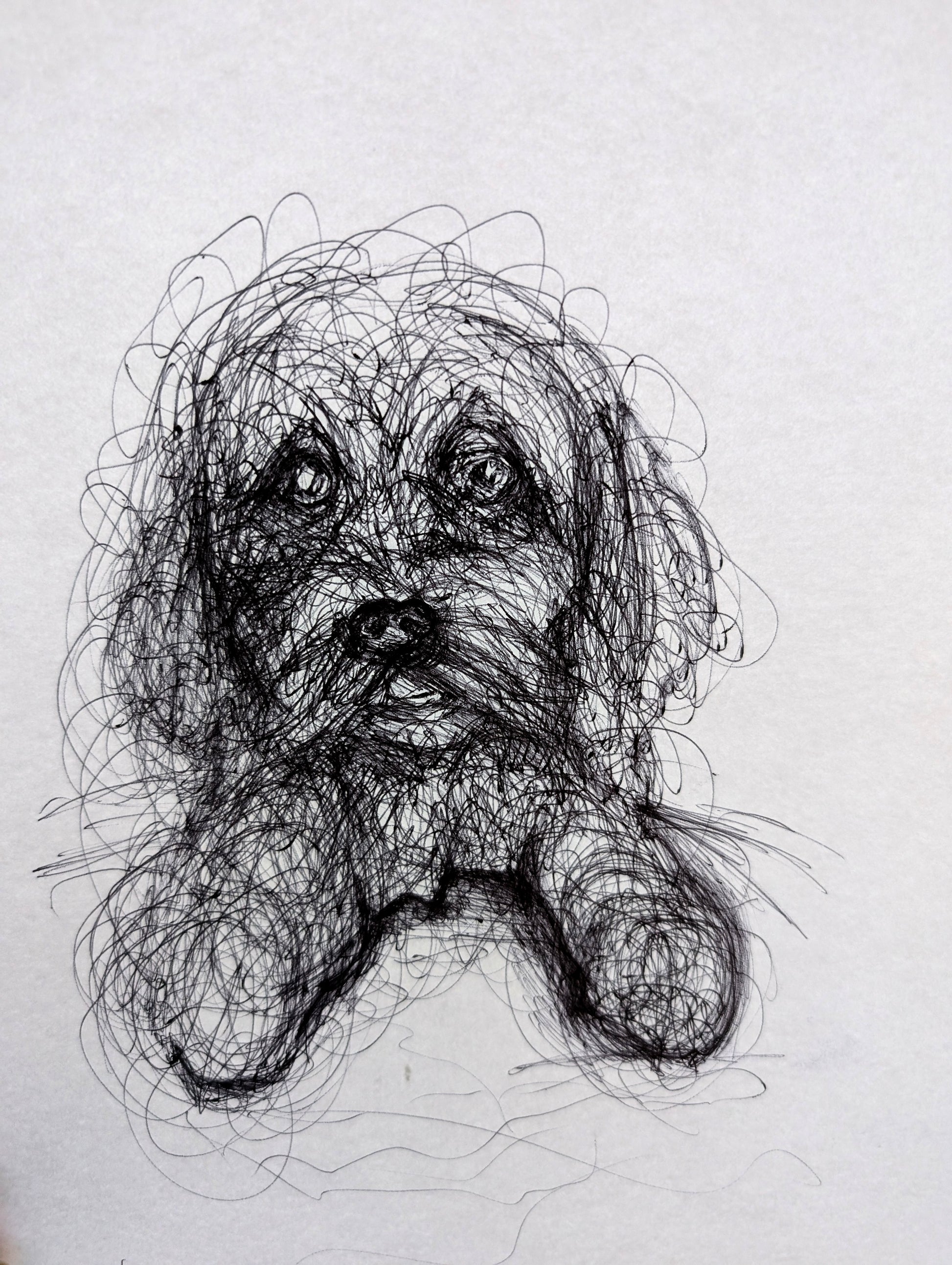 Doodley Noodley Scribbly Dog Pen Illustration Drawing Sketch Art Portrait Unframed A4 Size - Unorthodox Zoo