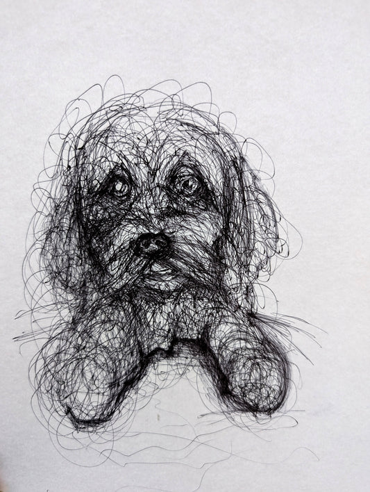 Doodley Noodley Scribbly Dog Pen Illustration Drawing Sketch Art Portrait Unframed A4 Size - Unorthodox Zoo