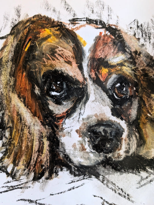 King Charles Cavalier Dog Drawing Illustration Sketch A4 Art Unframed Oil Pastel Drawing Oil Pastel Art Portrait - Unorthodox Zoo