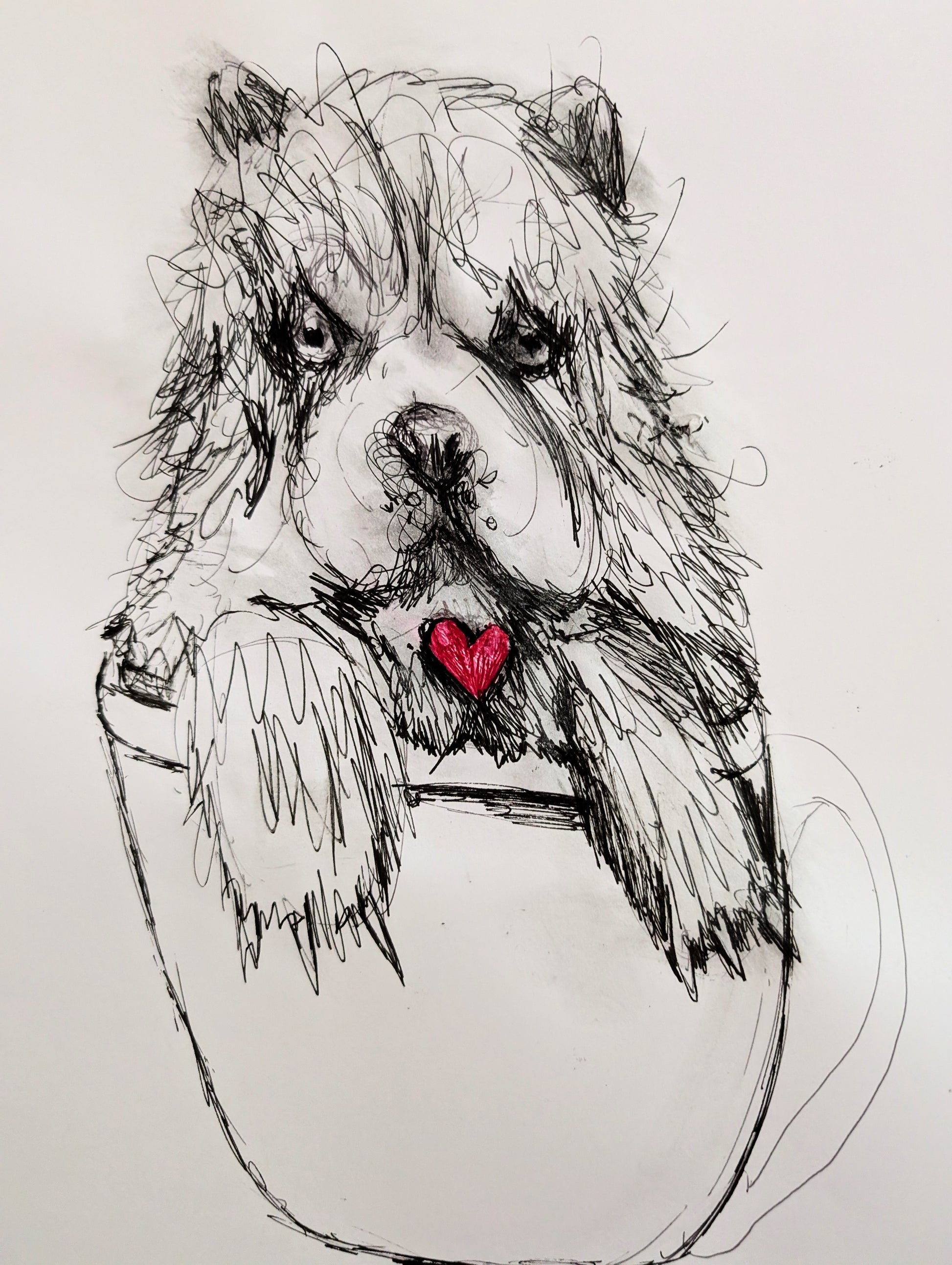 Fluffy Dog In A Cup With Pink Red Heart Pen Drawing Unframed A3 Size - Unorthodox Zoo