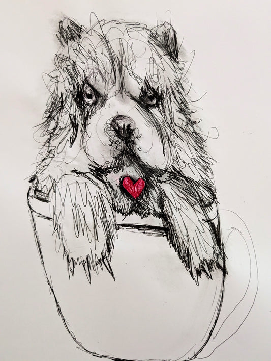 Fluffy Dog In A Cup With Pink Red Heart Pen Drawing Unframed A3 Size - Unorthodox Zoo