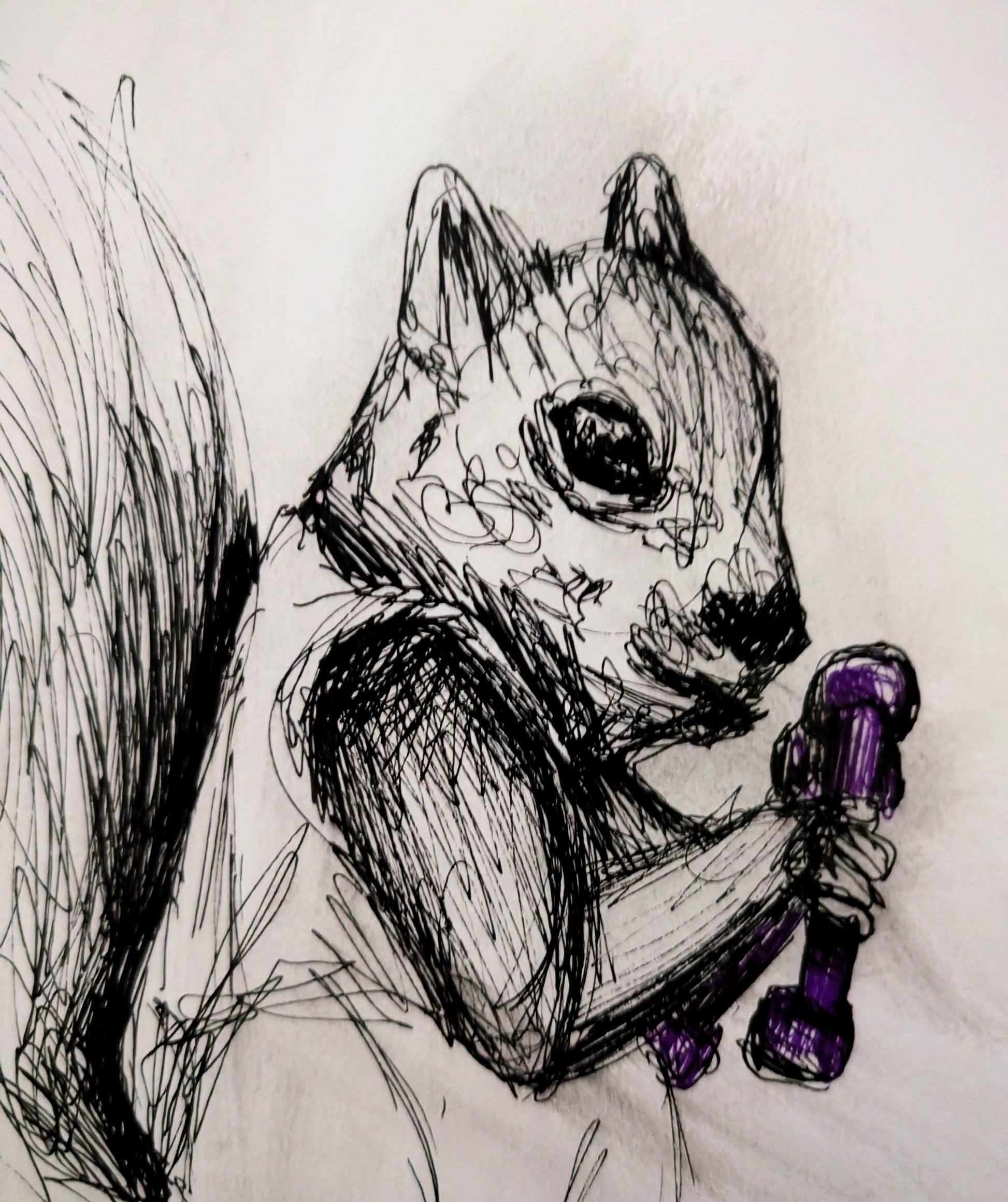 Squirrel With Dumbbell At Gym Pen Illustration Drawing Sketch Art Unframed A4 Size Animal Art Portrait - Unorthodox Zoo