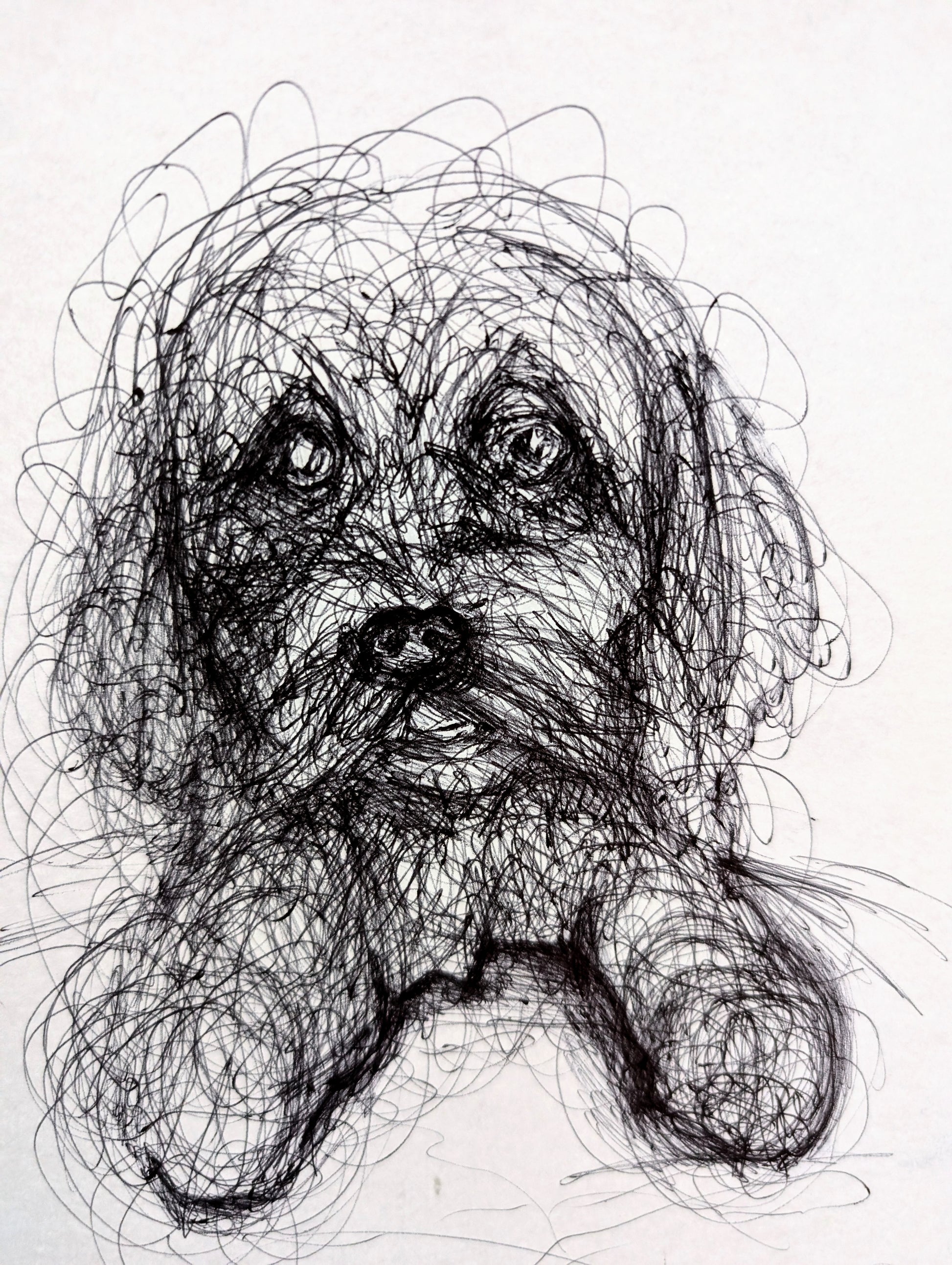 Doodley Noodley Scribbly Dog Pen Illustration Drawing Sketch Art Portrait Unframed A4 Size - Unorthodox Zoo