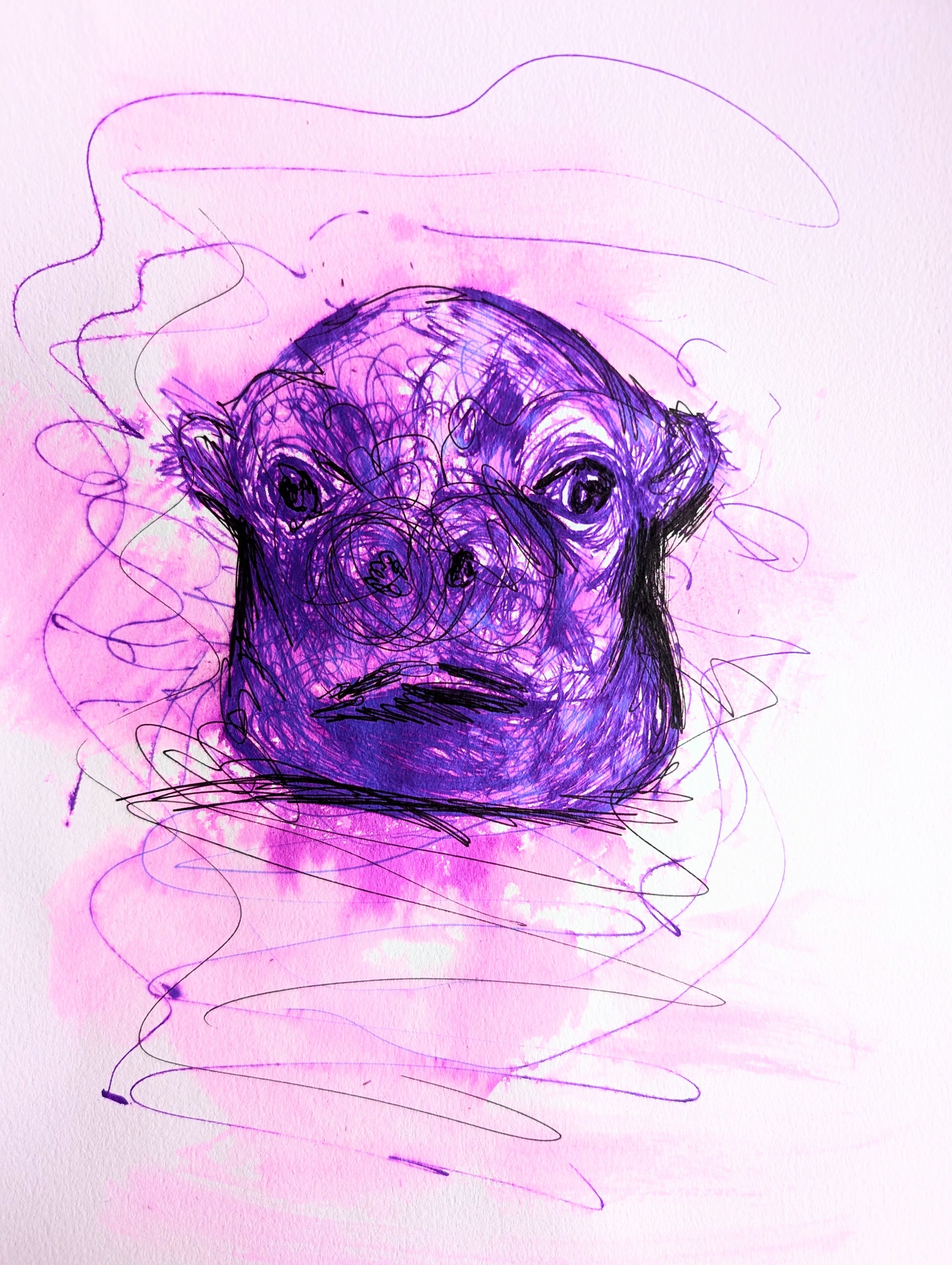 Purple Hippo With Funny Not Impressed Facial Expression With Scribbly Wiggle Water Lines Pen Drawing Illustration Sketch Art Unframed A4 Size - Unorthodox Zoo