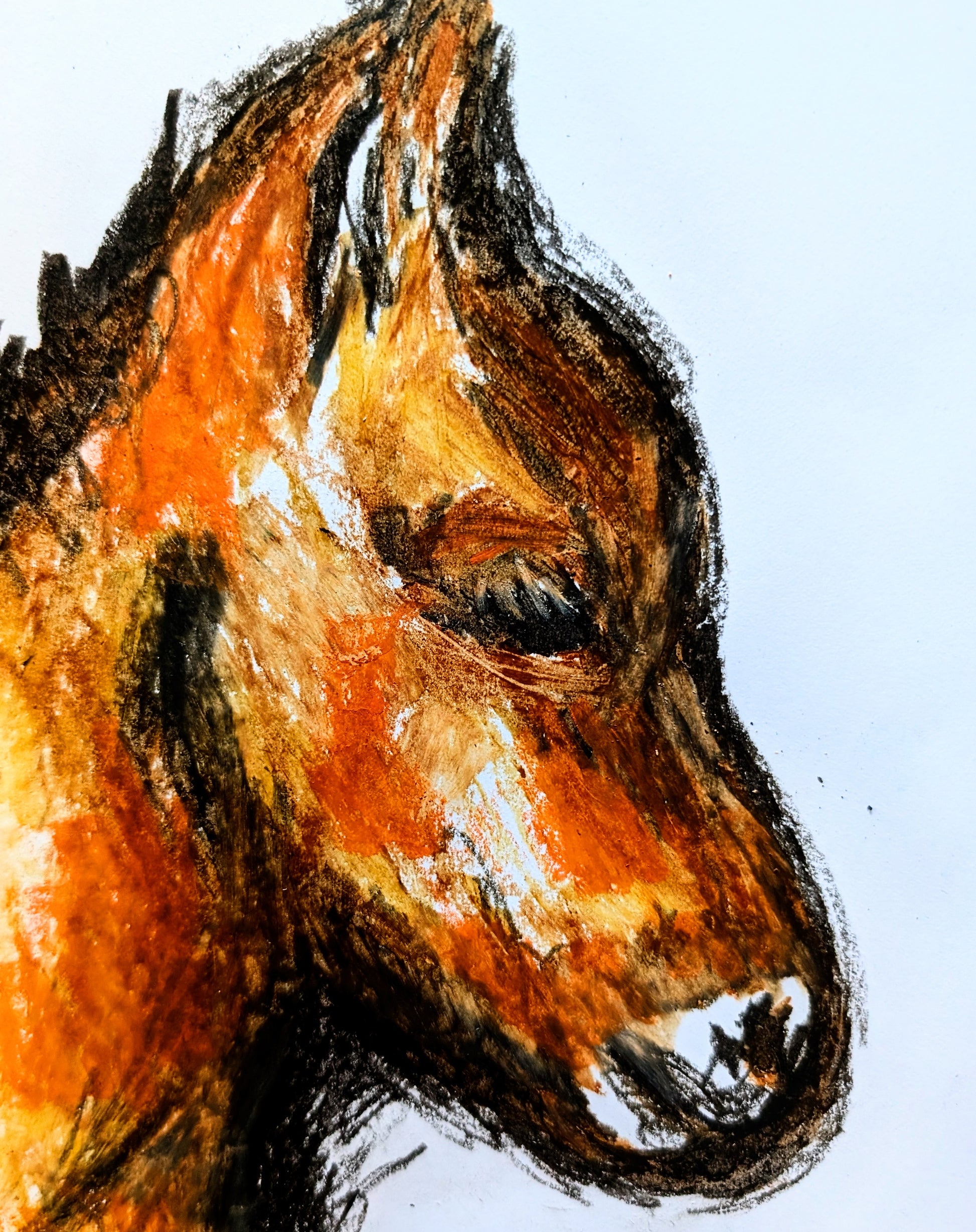 Horse Oil Pastel Drawing Illustration Sketch Art Portrait Unframed A4 Size Expressive Animal Art Portraits - Unorthodox Zoo
