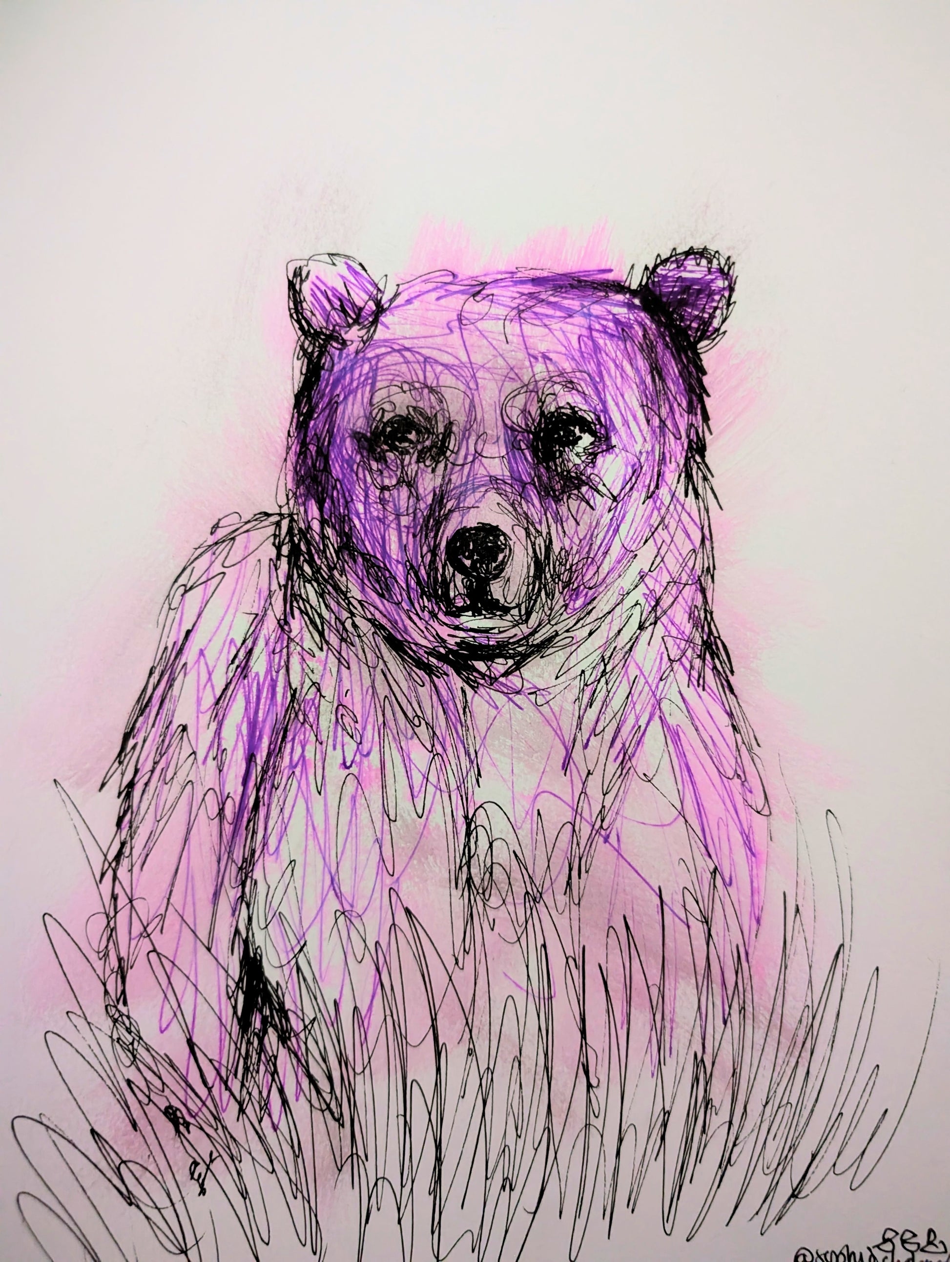 Purple Bear With Expressive Lines Pen Drawing Illustration Sketch Art Portrait Unframed A4 Size Animal Art Portrait - Unorthodox Zoo