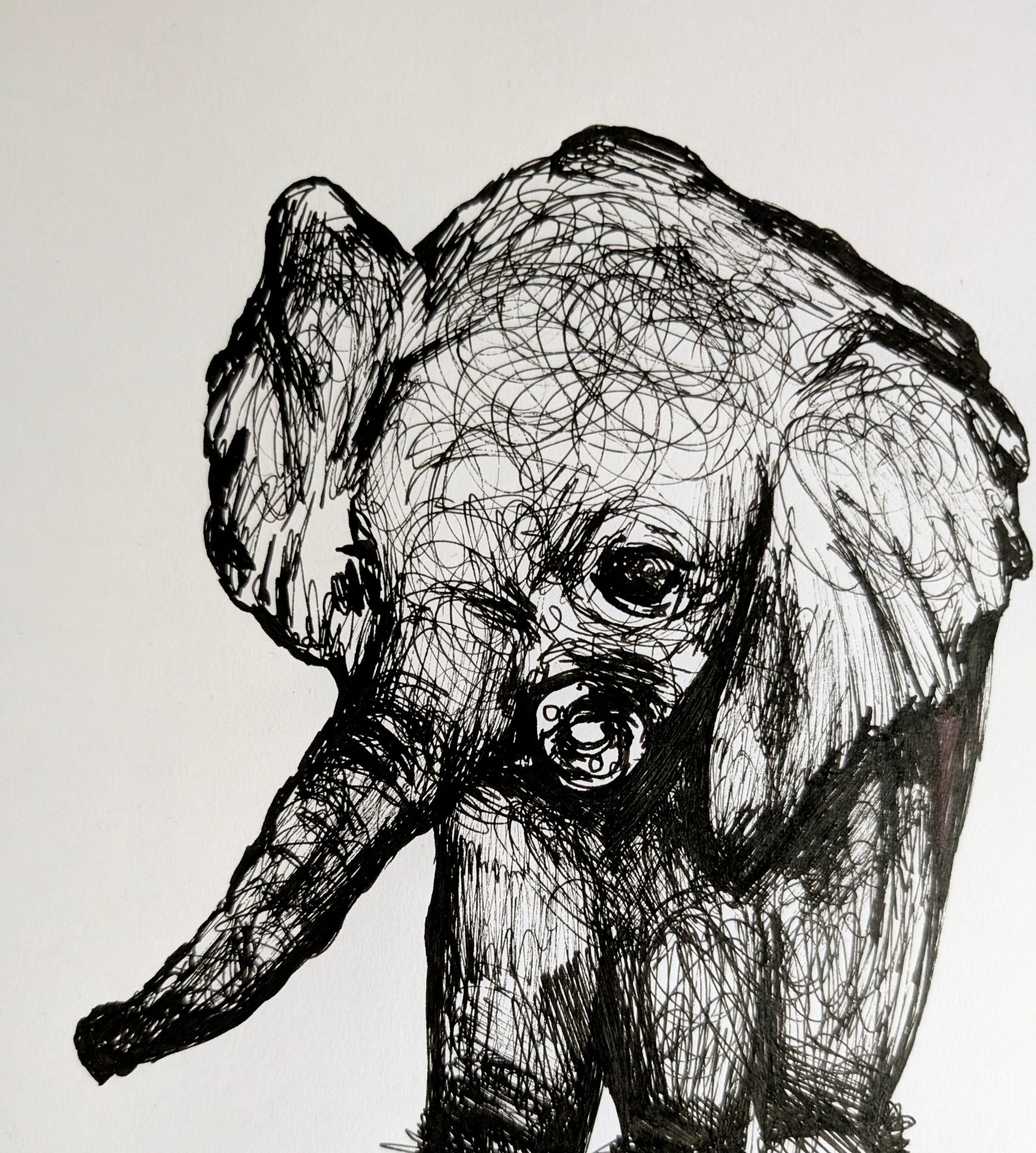 Baby Elephant With Dummy Pacifier Boots Slippers Pen Illustration Drawing Sketch Art Portrait Unframed A4 Size - Unorthodox Zoo