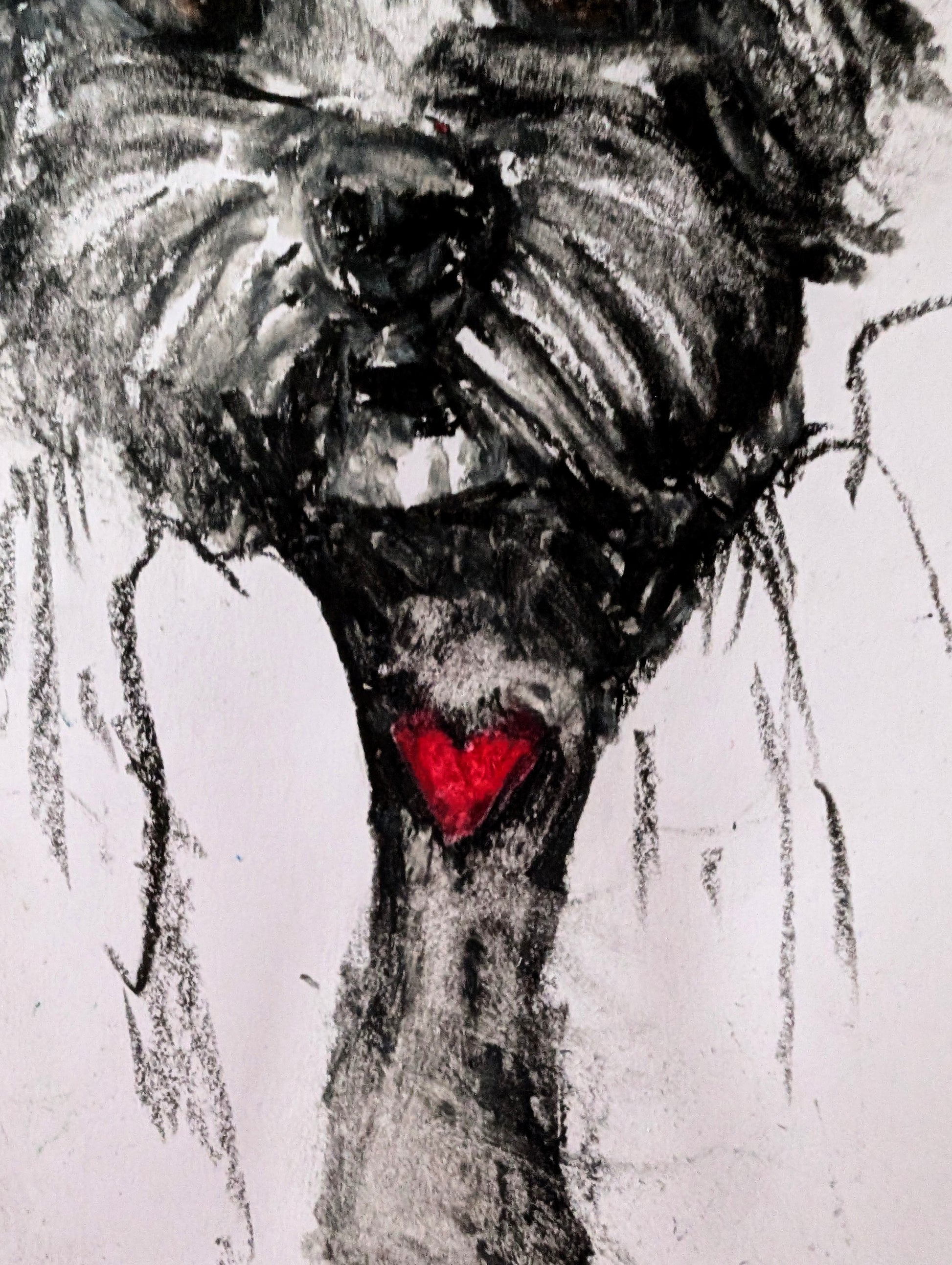 Fluffy Little Dog With Red Heart White Background Oil Pastel Illustration Drawing Sketch Art Unframed A4 Size - Unorthodox Zoo