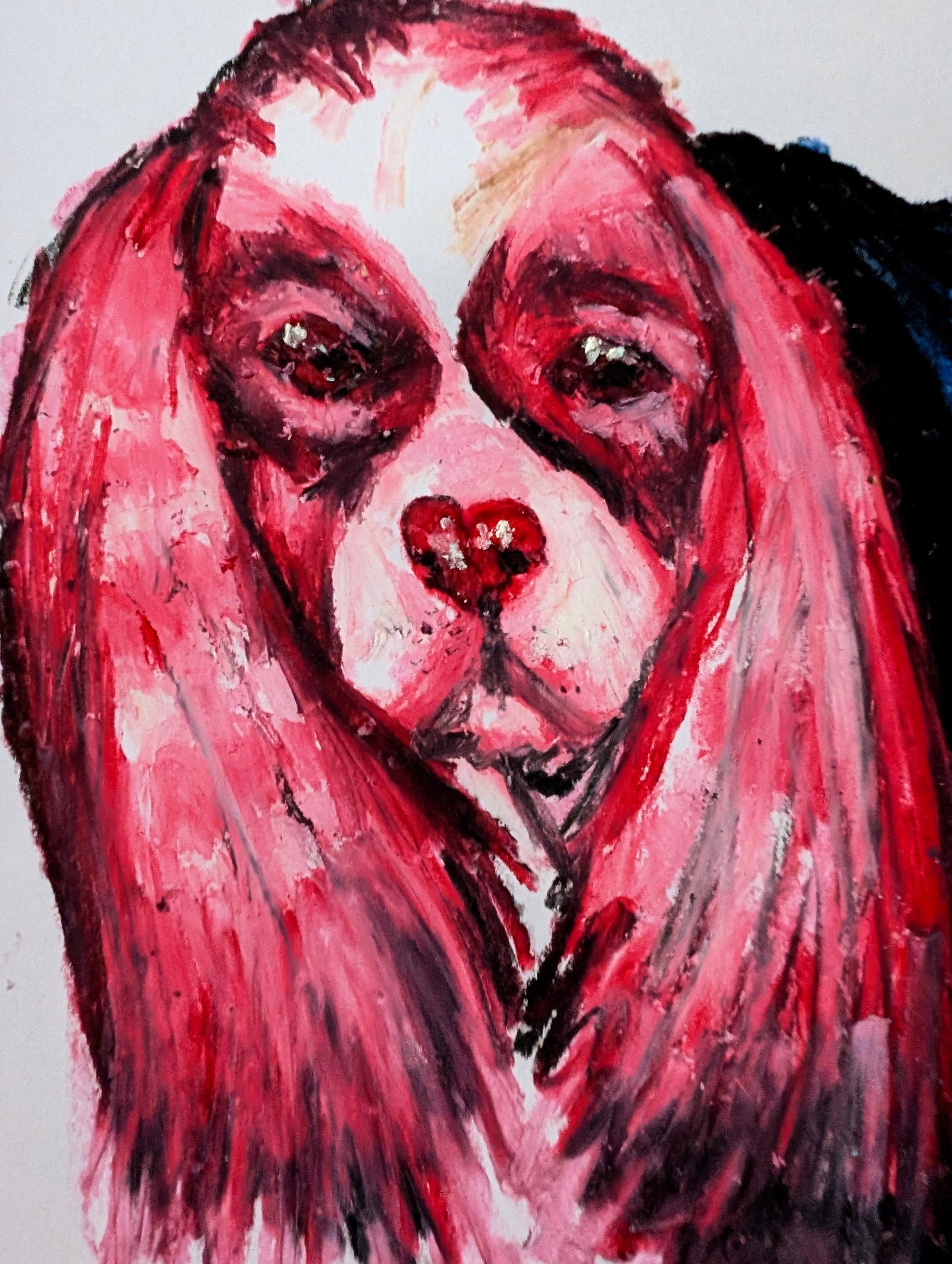 Pink King Charles Cavalier Dog With Heart Nose Oil Pastel Illustration Drawing Sketch Art Unframed A4 Size - Unorthodox Zoo