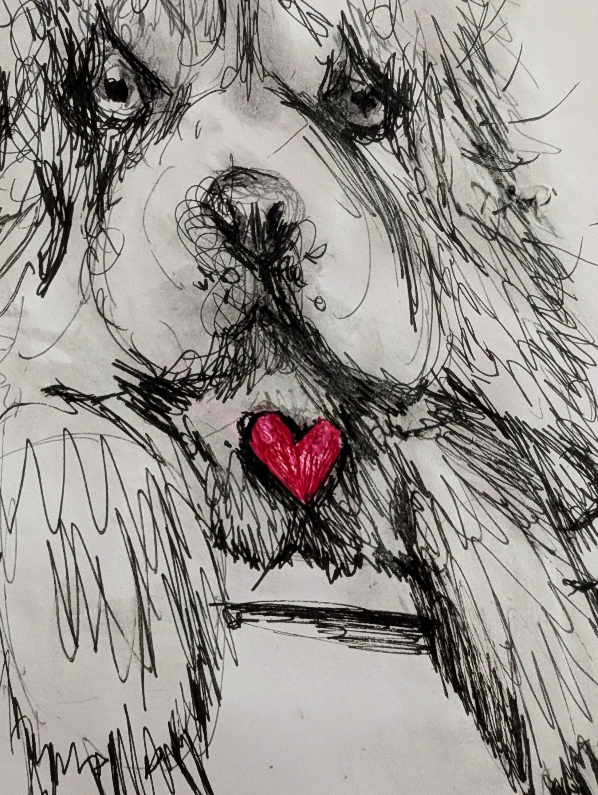 Fluffy Dog In A Cup With Pink Red Heart Pen Drawing Unframed A3 Size - Unorthodox Zoo