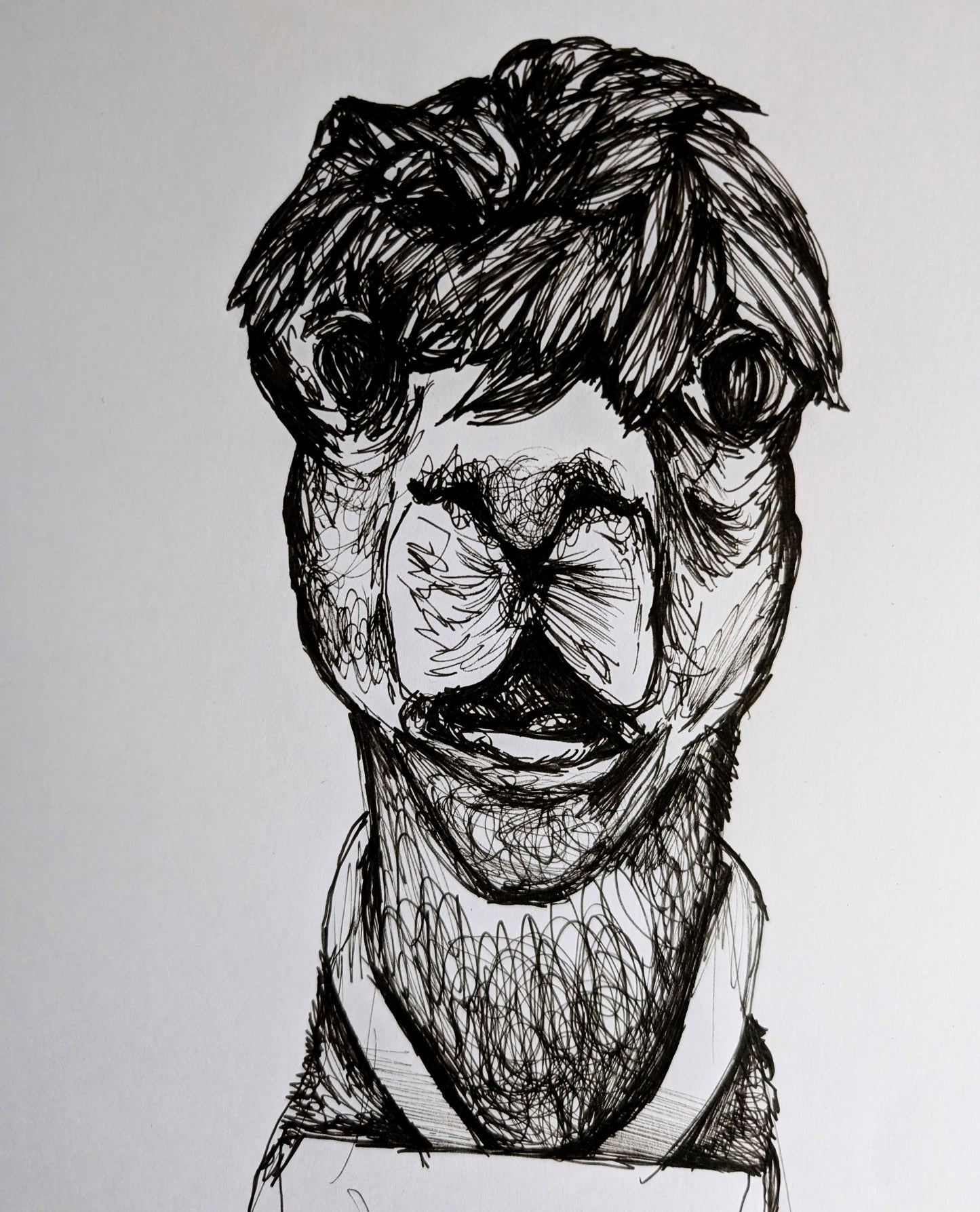 Llama With Wig Pulling Funny Face Wearing Apron Pen Illustration Drawing Sketch Art Portrait Unframed A4 Size