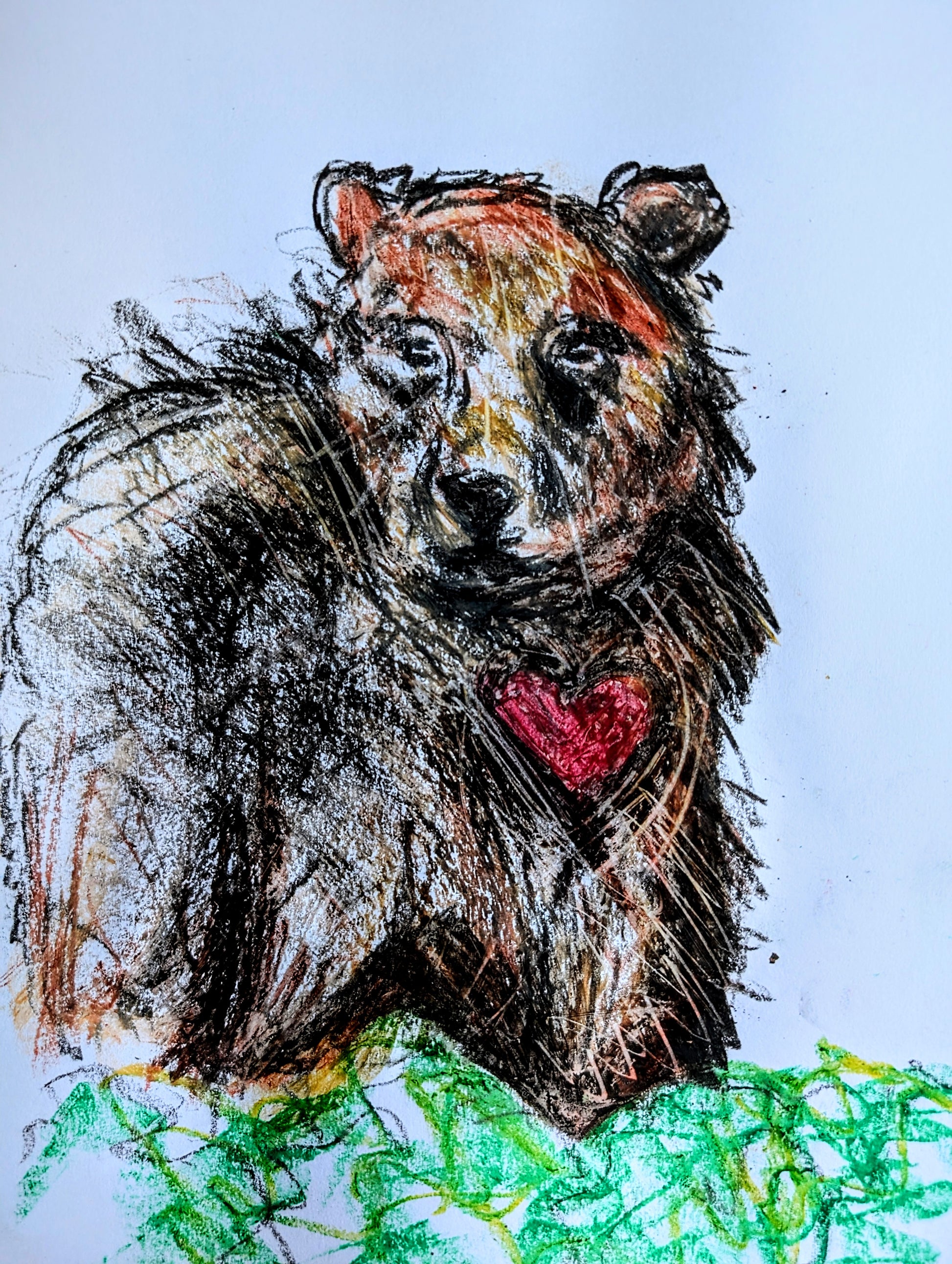 Bear With Heart Drawing Oil Pastel Illustration Sketch Art Portrait A4 Size Unframed - Unorthodox Zoo