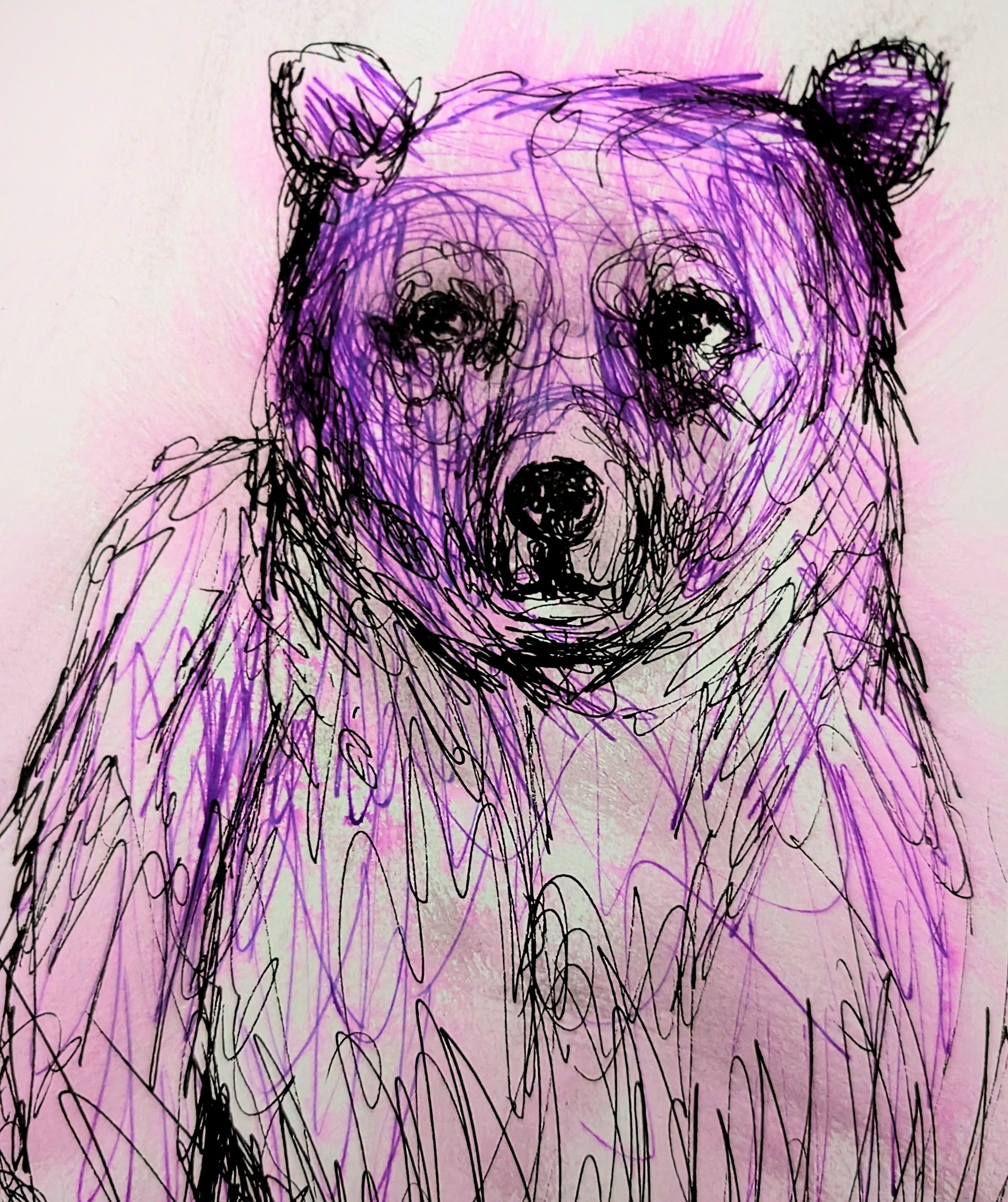 Purple Bear With Expressive Lines Pen Drawing Illustration Sketch Art Portrait Unframed A4 Size Animal Art Portrait - Unorthodox Zoo