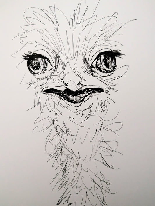 Ostrich Bird Pulling Funny Face Expressive Drawing Pen Illustration Drawing Sketch Art Portrait Unframed A4 Size - Unorthodox Zoo