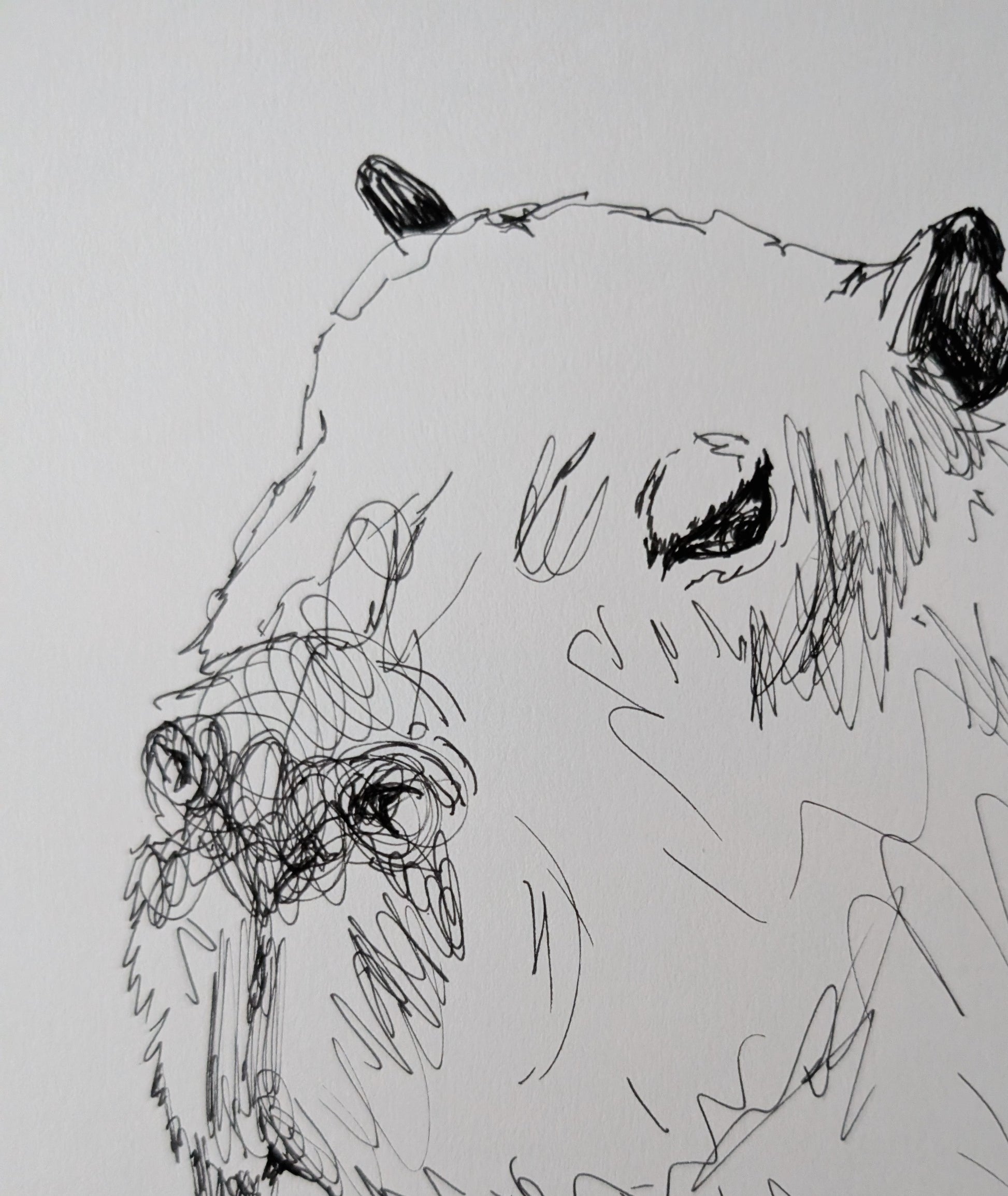 Capybaras Has Enough Pen Illustration Drawing Sketch Art Portrait Unframed A4 Size - Unorthodox Zoo