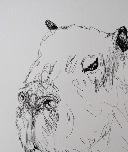 Capybaras Has Enough Pen Illustration Drawing Sketch Art Portrait Unframed A4 Size - Unorthodox Zoo