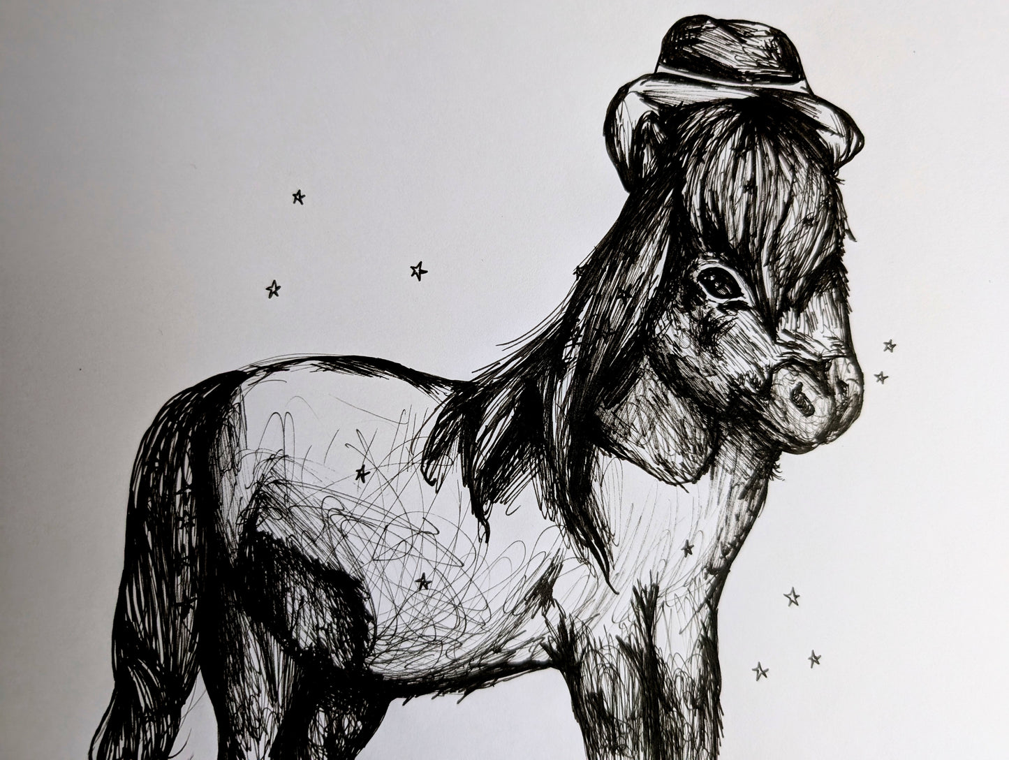 Pony With Long Hair With Cow Boy Hat Stars Pen Illustration Drawing Sketch Art Portrait Unframed A4 Size