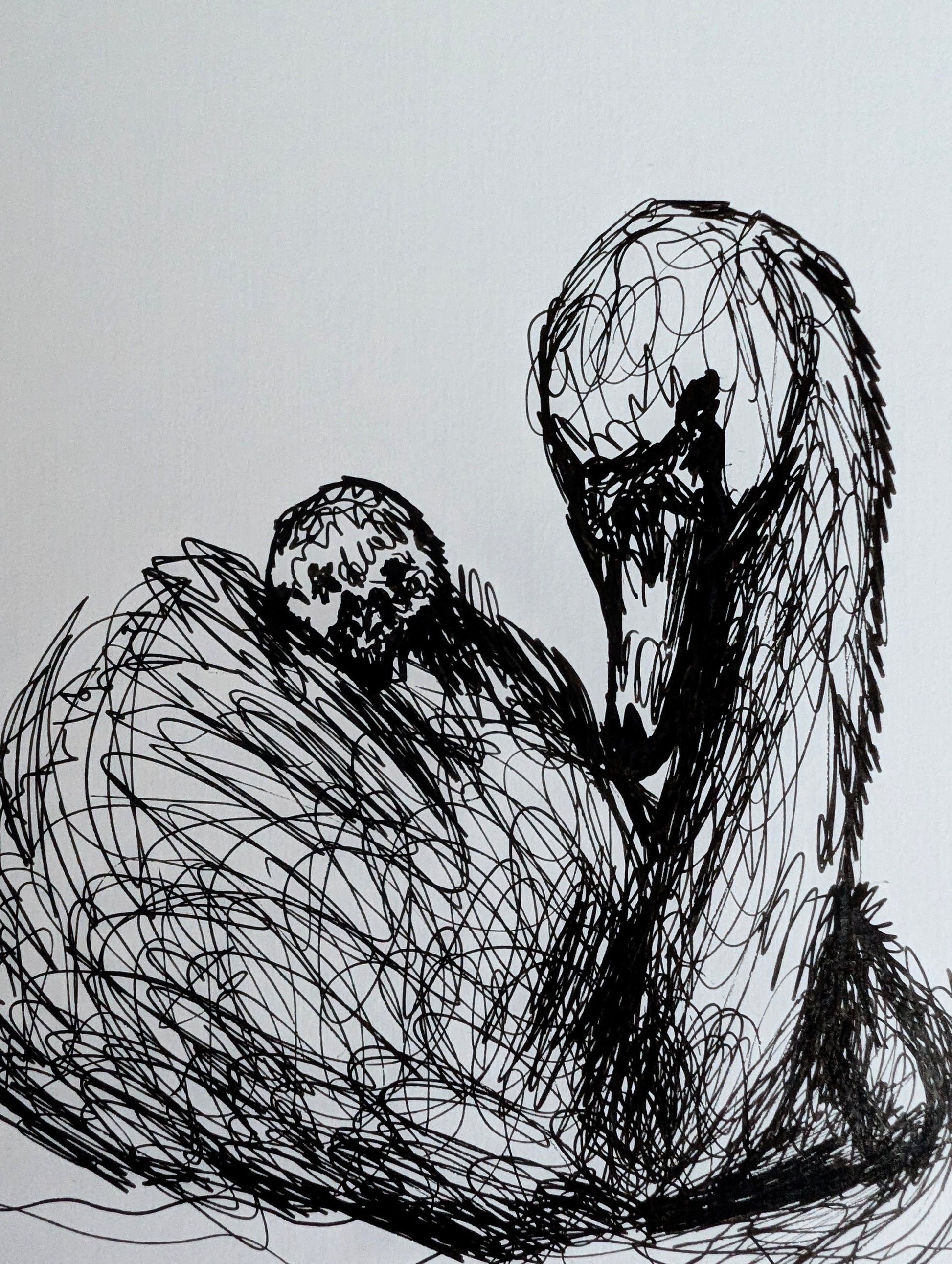 Swan With Duckling Pen Illustration Drawing Sketch Art Portrait Animal Portrait Art Unframed Size 17.8 cm x 25.4 cm - Unorthodox Zoo