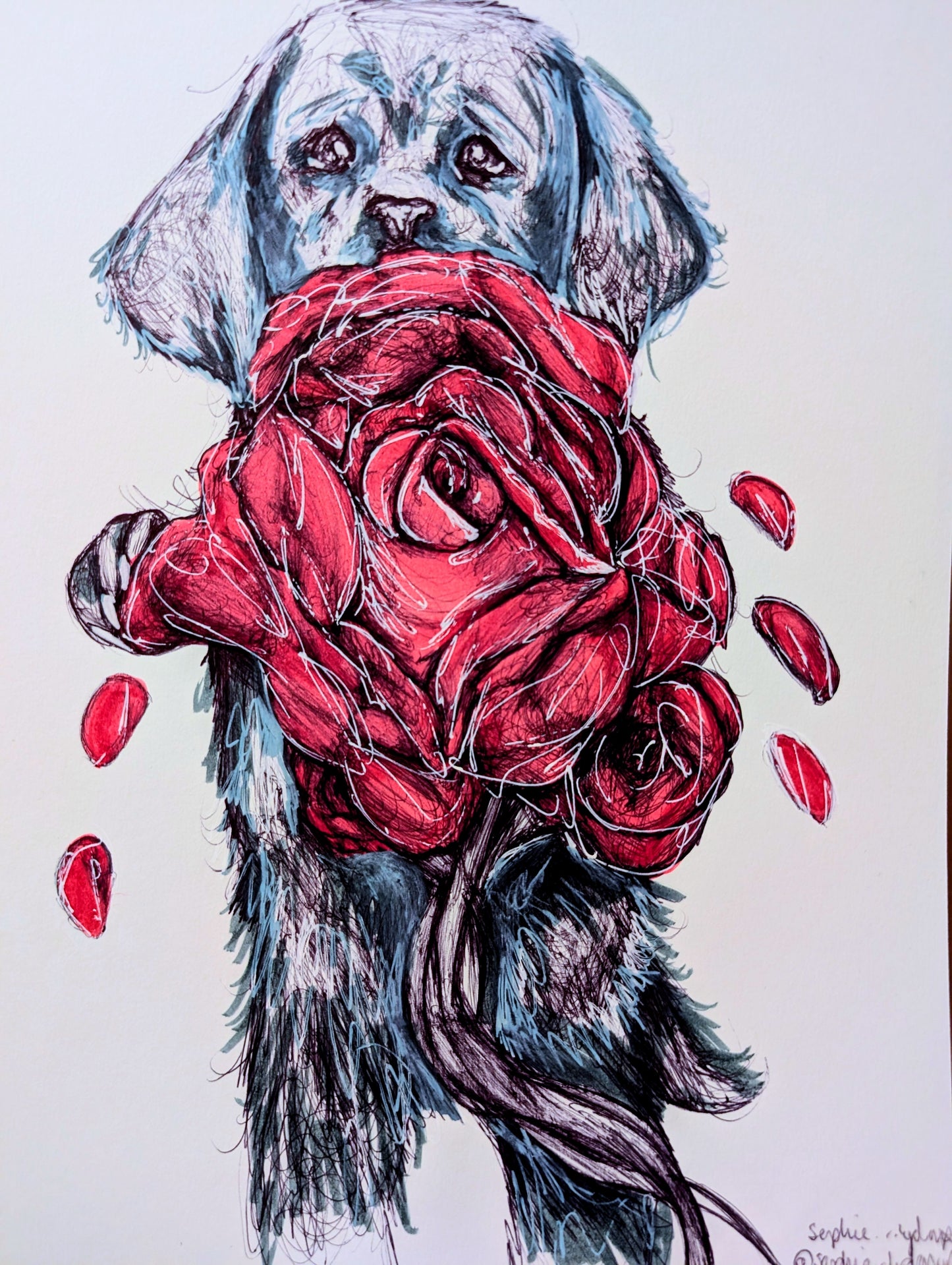 Puppy Dog With Red Roses Falling Petals Pen Illustration Drawing Sketch Art Portrait Unframed A4 Size