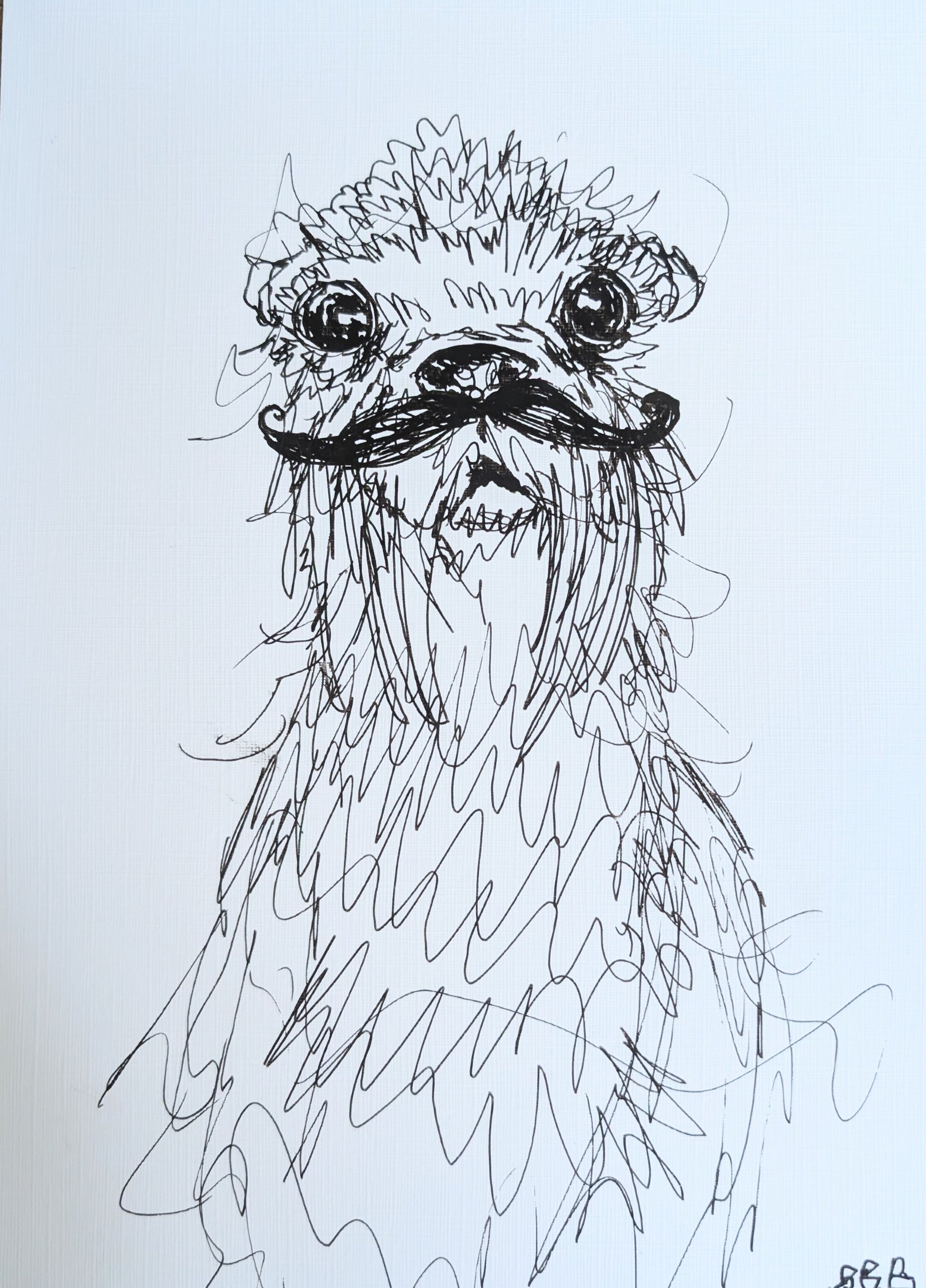 Mr Moustache The Funny Little Animal With Scribbly Fur Pen Drawing Illustration Sketch Art Size 17.8 cm x 25.4 cm Unframed - Unorthodox Zoo