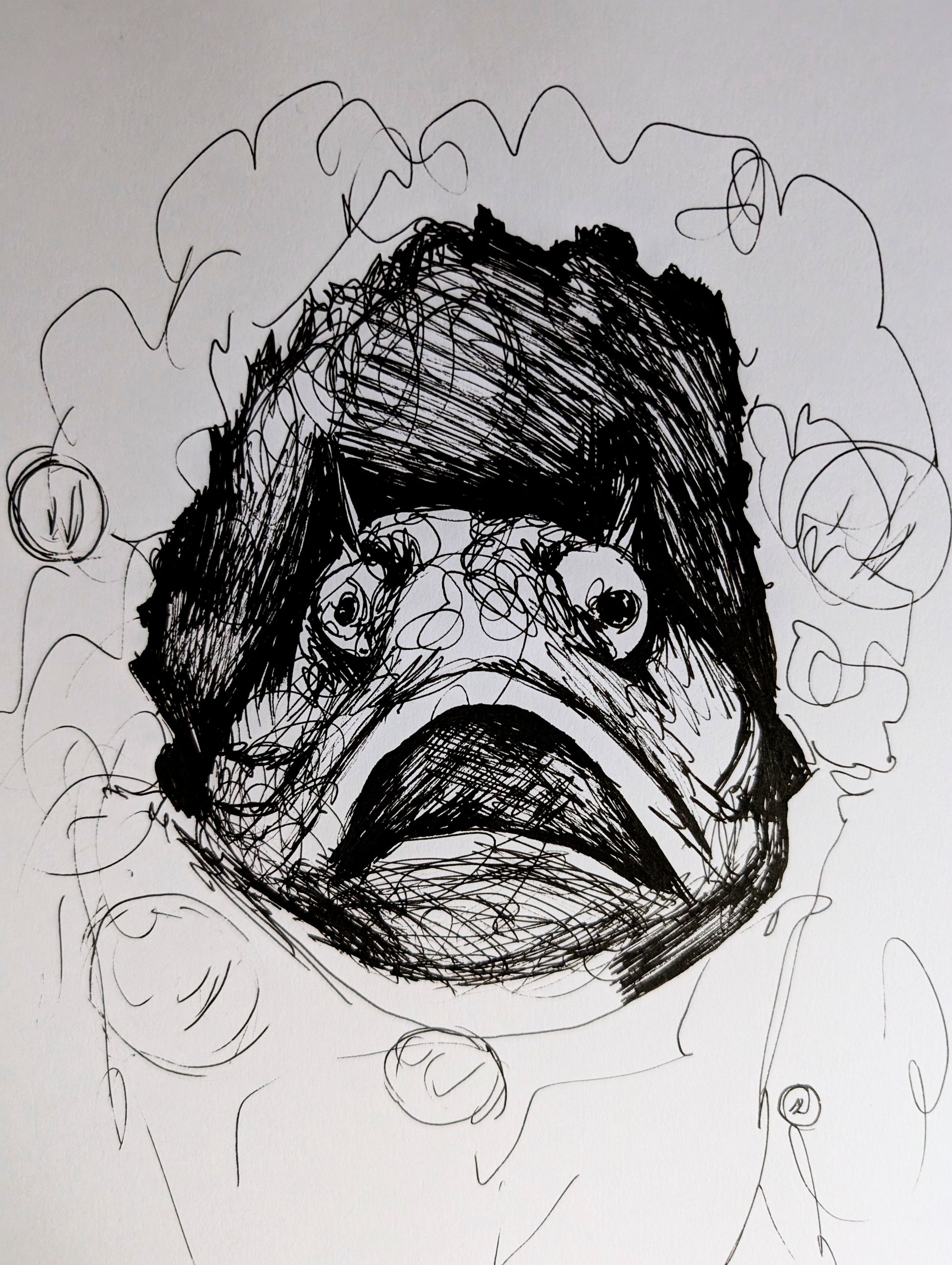 Sarcastic Fringehead Fish Under The Sea Pen Illustration Drawing Sketch Art Portrait Unframed A4 Size - Unorthodox Zoo