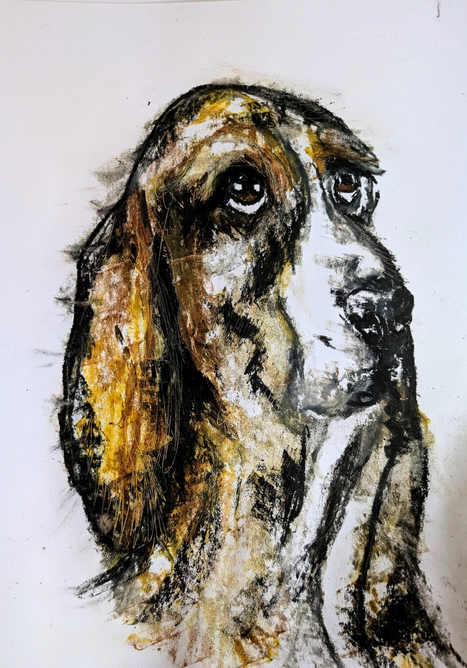 Bassett Hound Dog Hound Illustration Drawing Sketch Art Unframed A4 Size Art Oil Pastel Drawing - Unorthodox Zoo