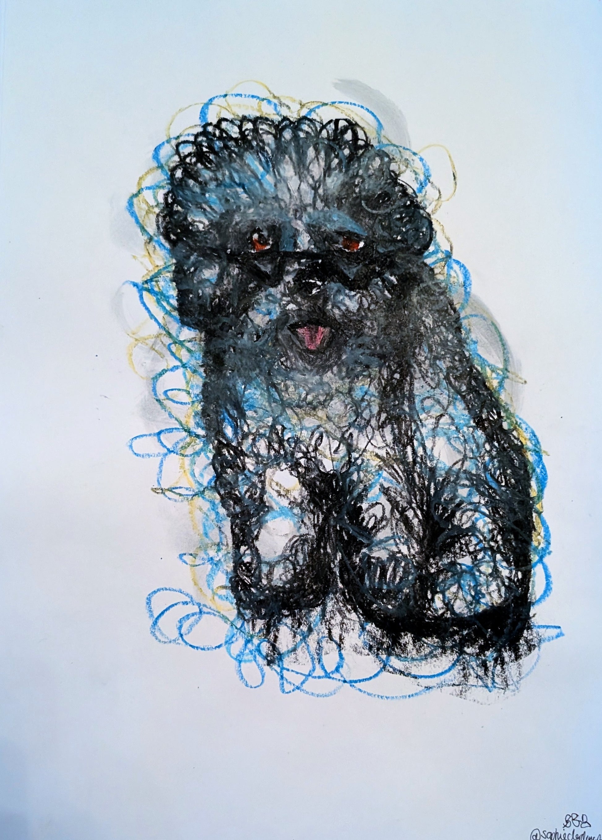 Scribbly Poodle With Sunglasses Pink Tongue Brown Eyes Oil Pastel Illustration Drawing Sketch Art Unframed A3 Size - Unorthodox Zoo
