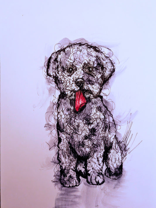 Curly Haired Dog With Dark Pink Tongue Sticking Out With Expressive Marks Pen Illustration Drawing Sketch Art Portrait Unframed A4 Size - Unorthodox Zoo