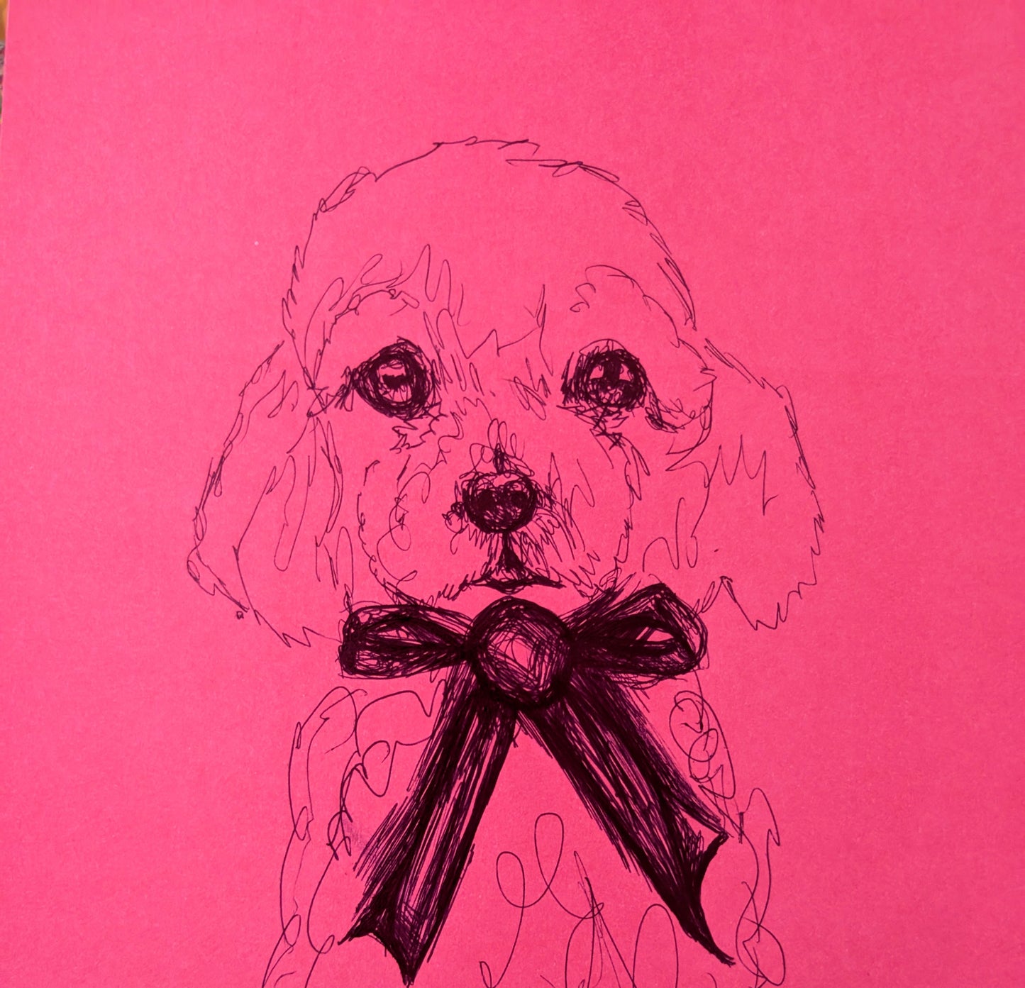 Poodle Dog Puppy Pen Drawing Illustration Sketch Art Portrait Unframed A4 Size Pink Paper Ribbon Bow - Unorthodox Zoo