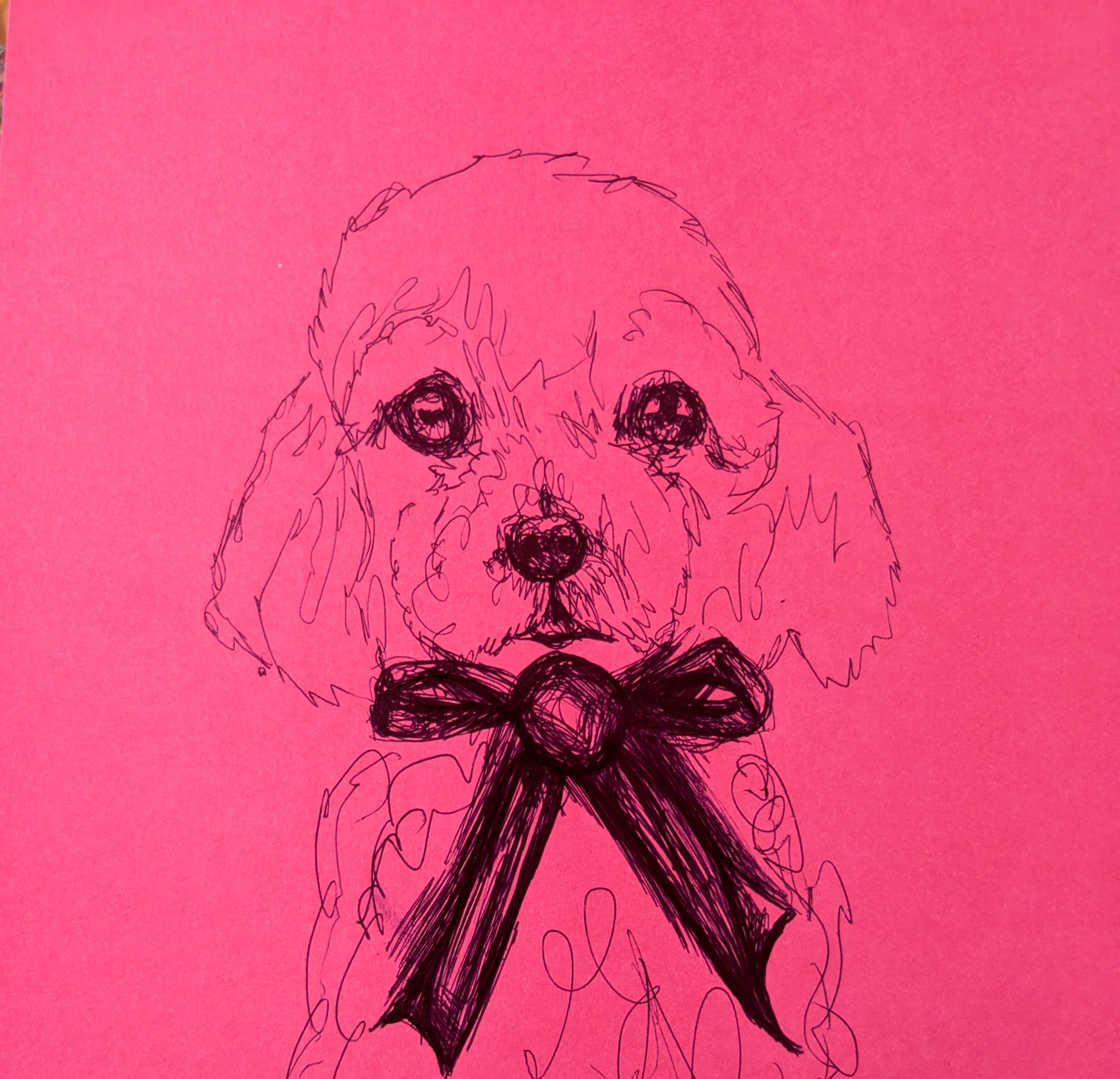 Poodle Dog Puppy Pen Drawing Illustration Sketch Art Portrait Unframed A4 Size Pink Paper Ribbon Bow - Unorthodox Zoo